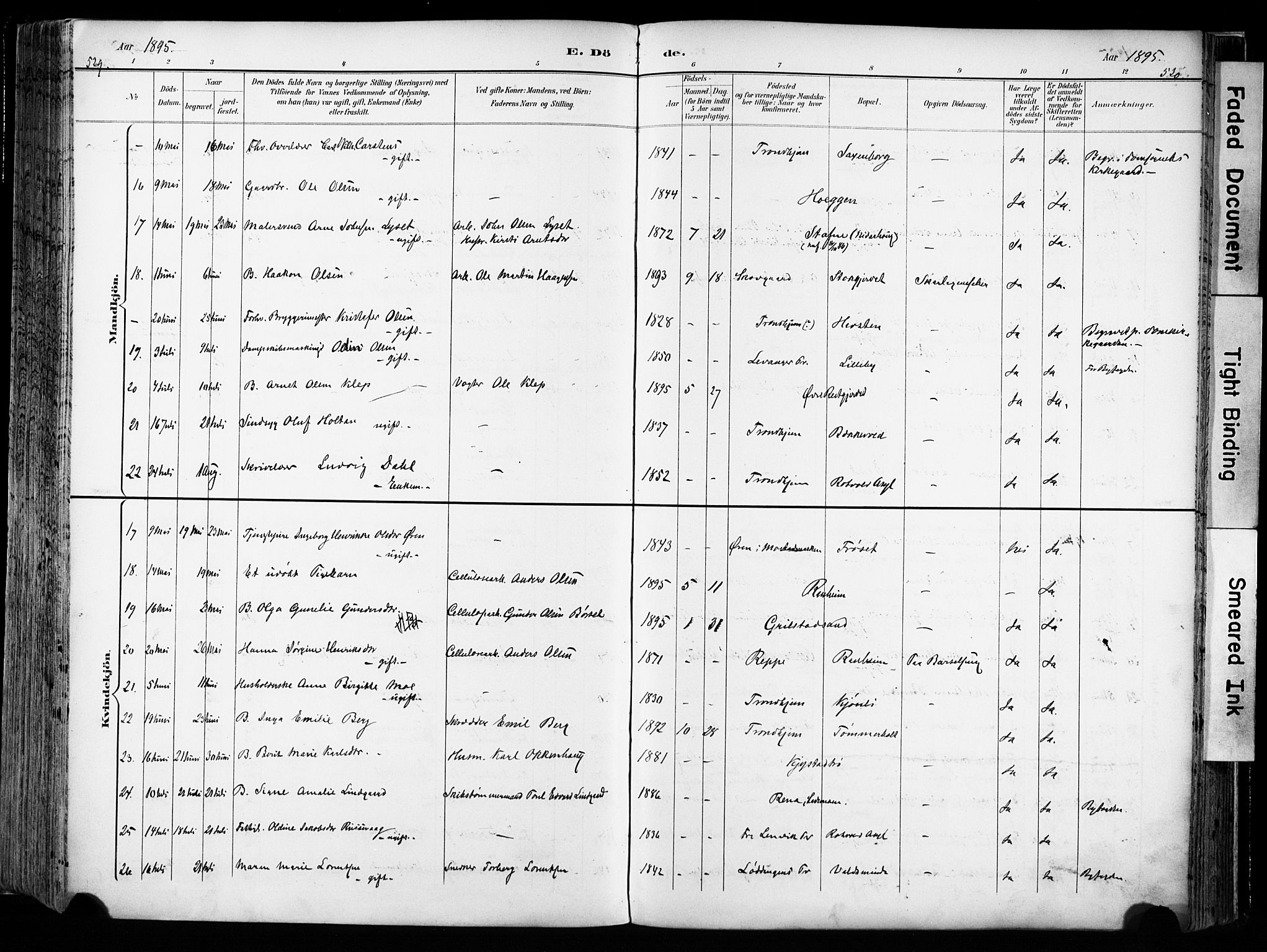 Ministerialprotokoller, klokkerbøker og fødselsregistre - Sør-Trøndelag, SAT/A-1456/606/L0301: Parish register (official) no. 606A16, 1894-1907, p. 529-530
