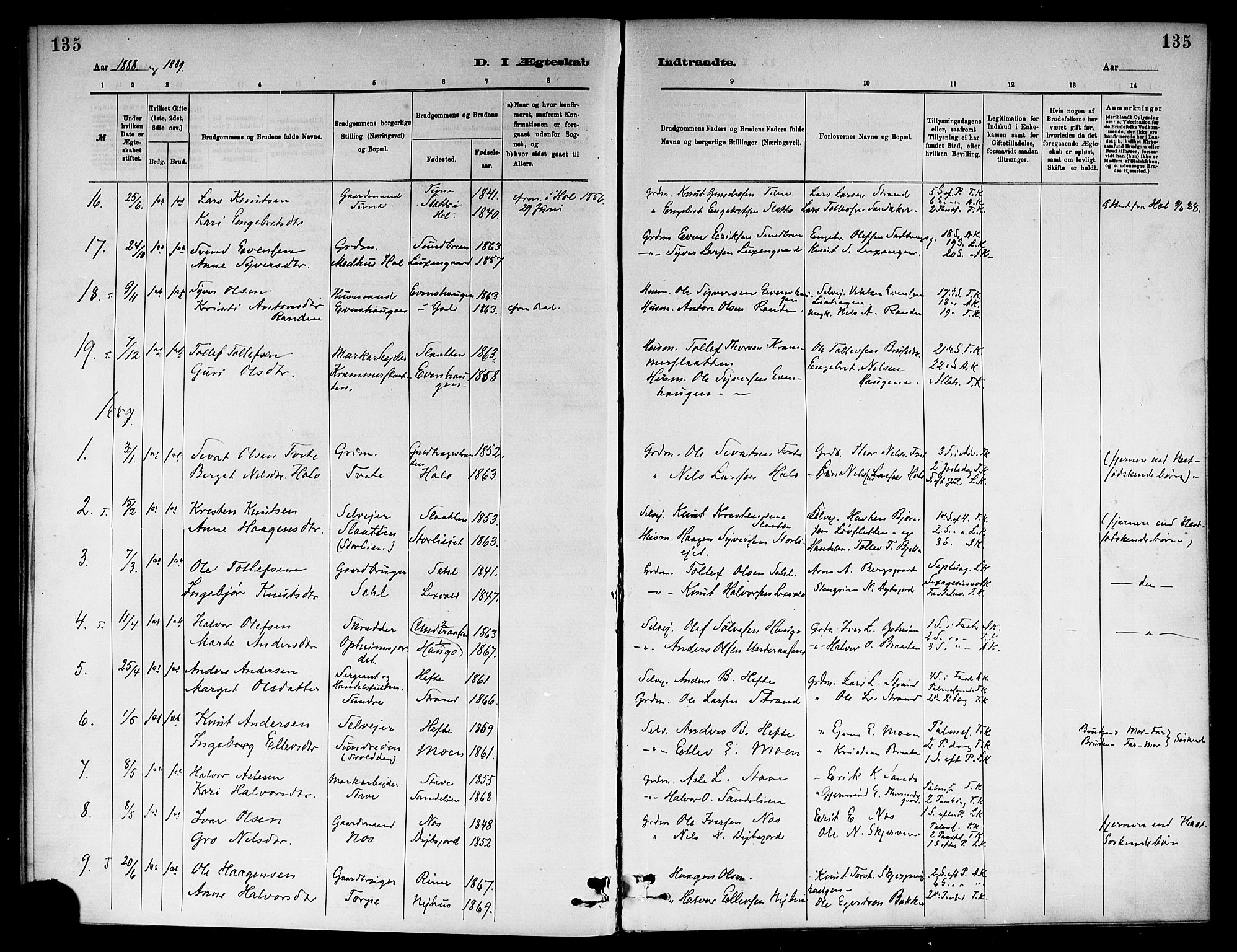 Ål kirkebøker, SAKO/A-249/F/Fa/L0008: Parish register (official) no. I 8, 1882-1896, p. 135