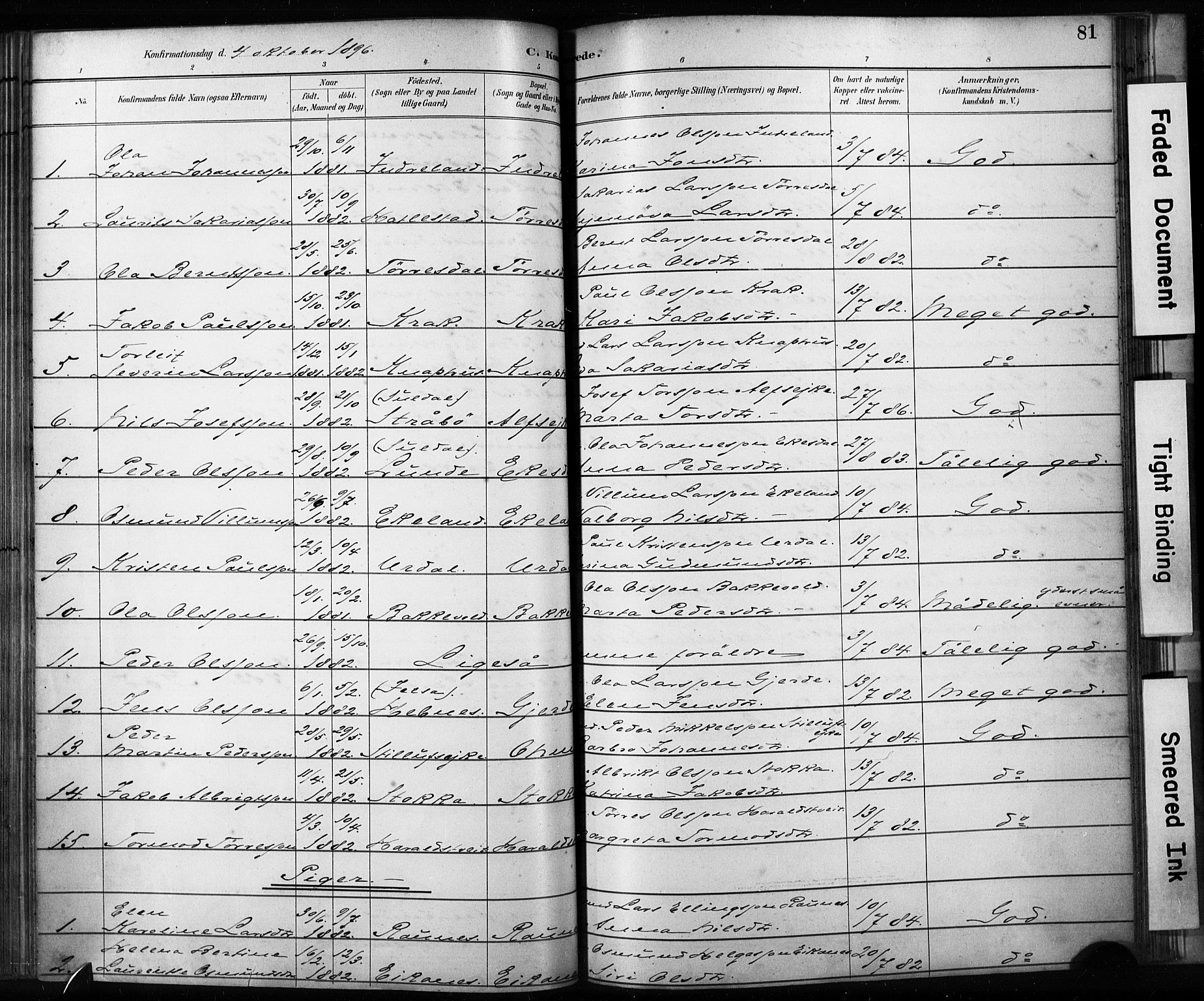 Skjold sokneprestkontor, AV/SAST-A-101847/H/Ha/Haa/L0009: Parish register (official) no. A 9, 1882-1898, p. 81