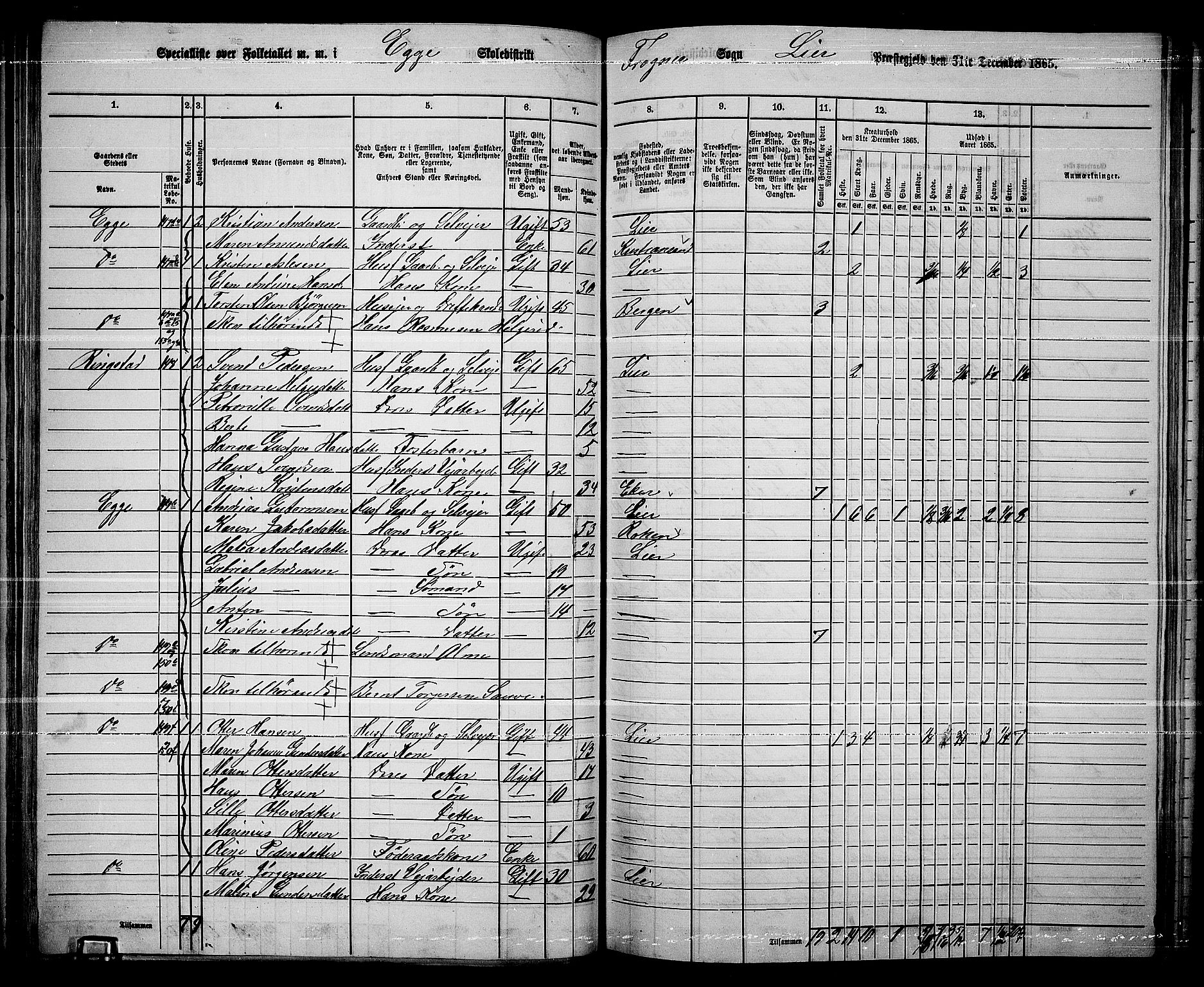 RA, 1865 census for Lier, 1865, p. 88