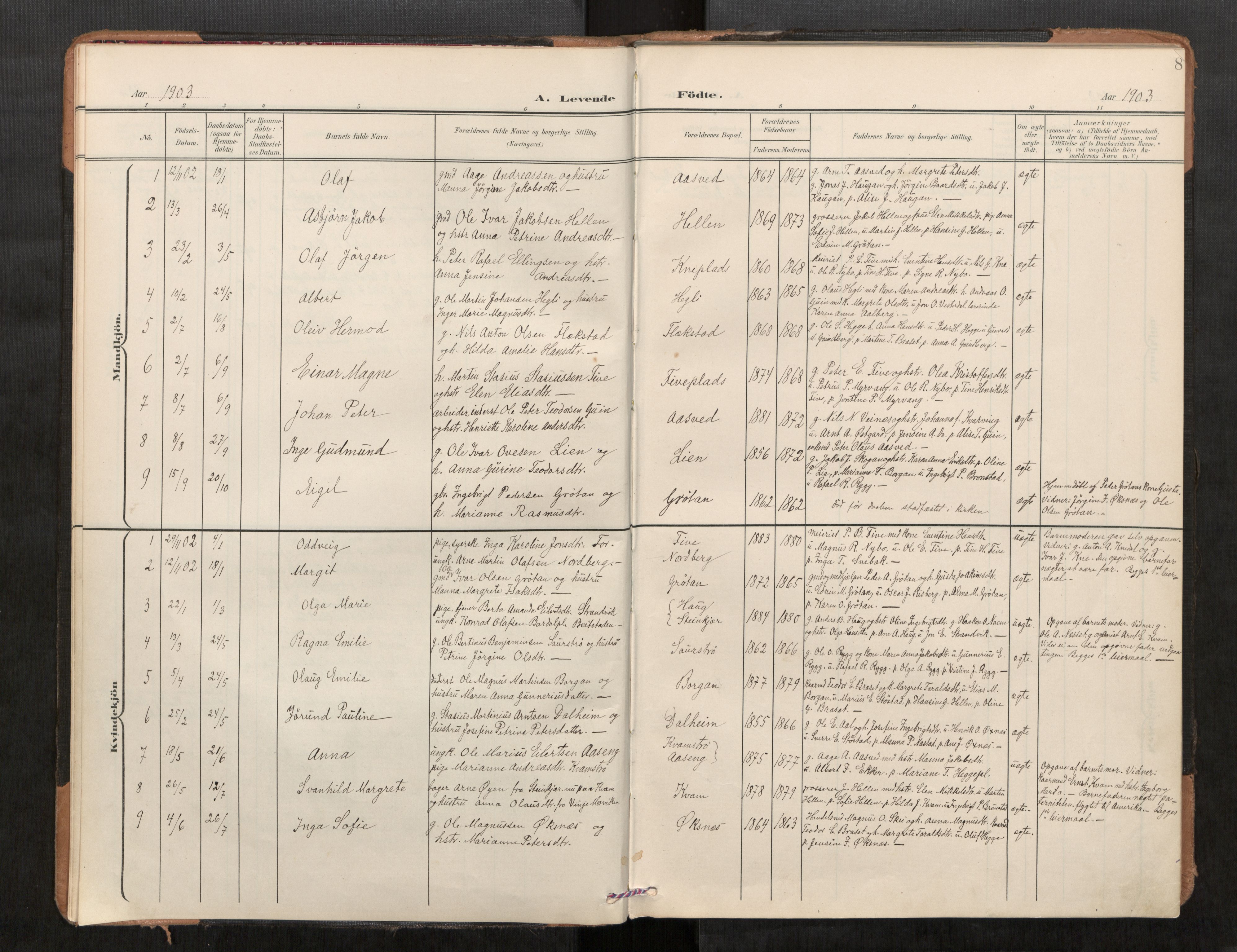 Stod sokneprestkontor, AV/SAT-A-1164/1/I/I1/I1a/L0001: Parish register (official) no. 1, 1900-1912, p. 8