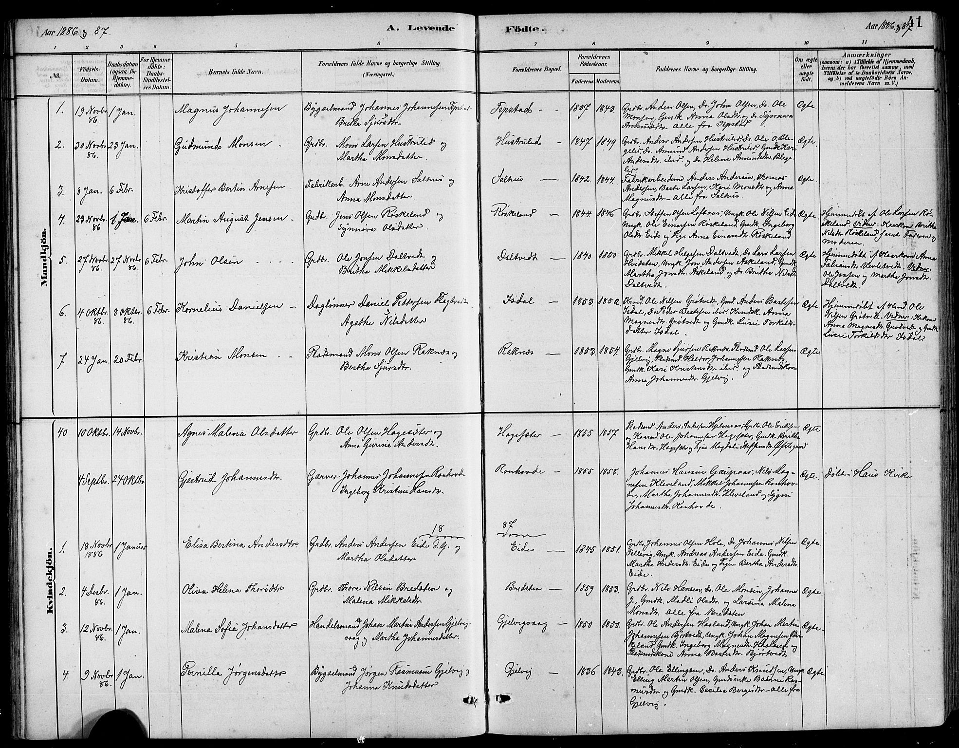 Hamre sokneprestembete, AV/SAB-A-75501/H/Ha/Hab: Parish register (copy) no. B 3, 1881-1898, p. 41