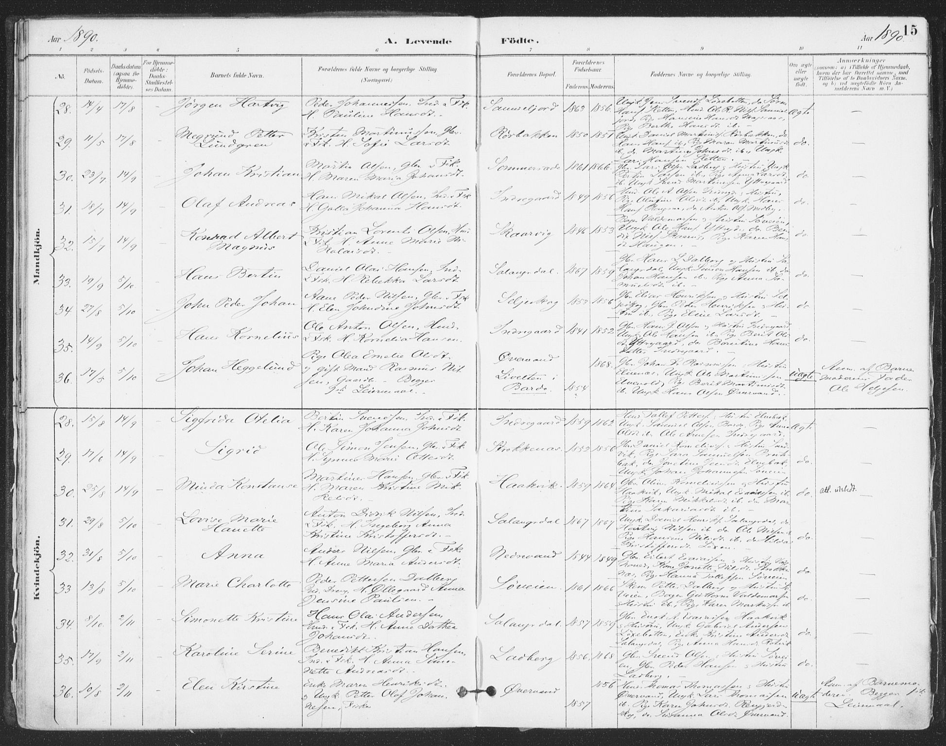 Ibestad sokneprestembete, SATØ/S-0077/H/Ha/Haa/L0015kirke: Parish register (official) no. 15, 1888-1899, p. 15
