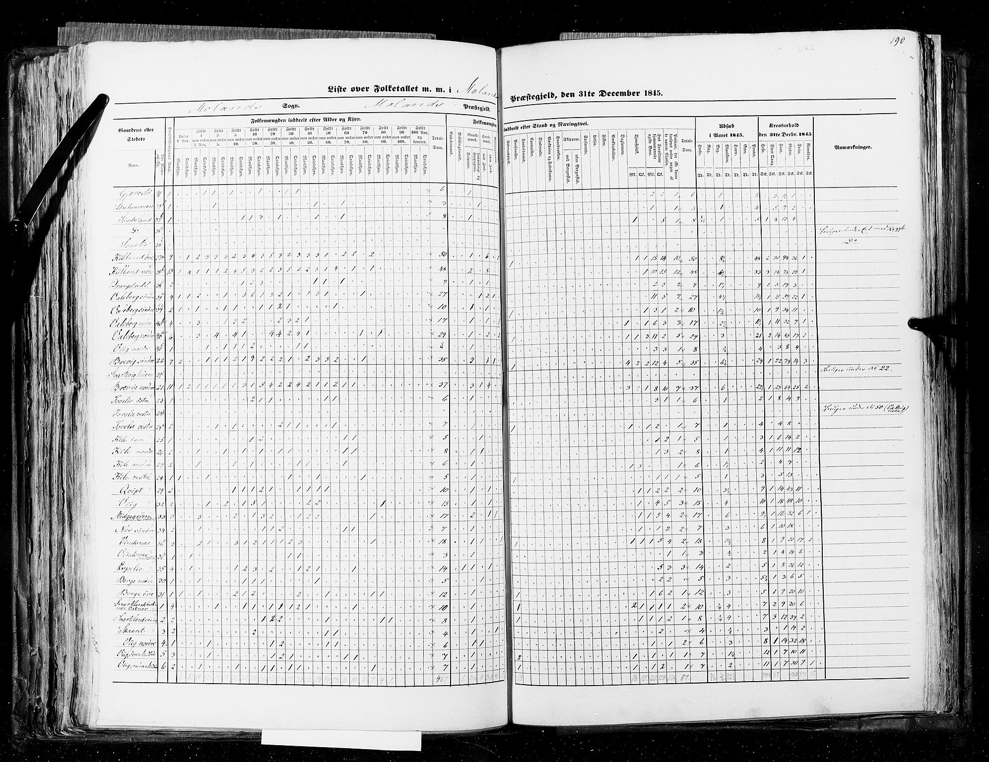 RA, Census 1845, vol. 5: Bratsberg amt og Nedenes og Råbyggelaget amt, 1845, p. 190