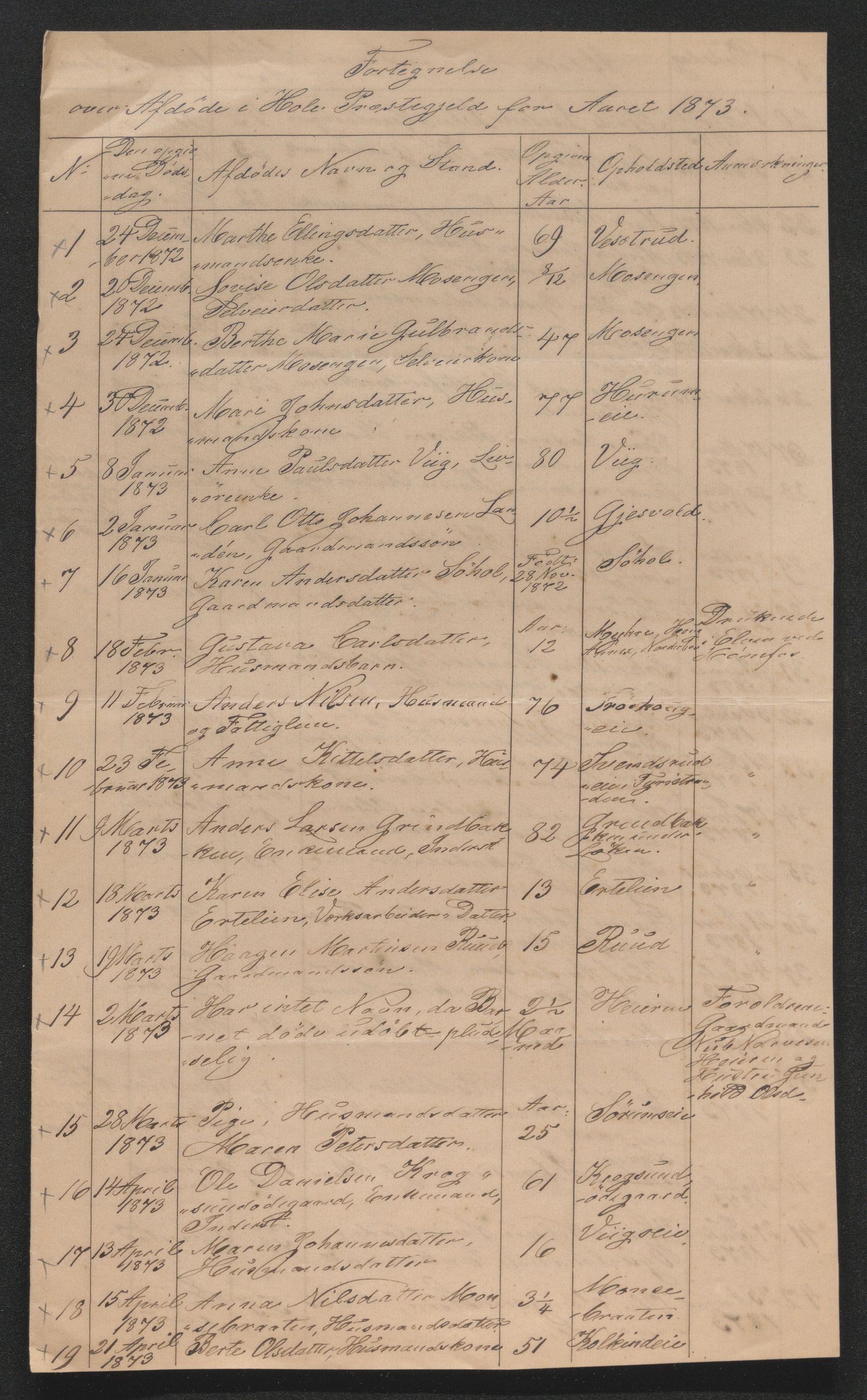 Ringerike sorenskriveri, AV/SAKO-A-105/H/Ha/Hab/L0018: Dødsfallslister Hole, 1838-1925
