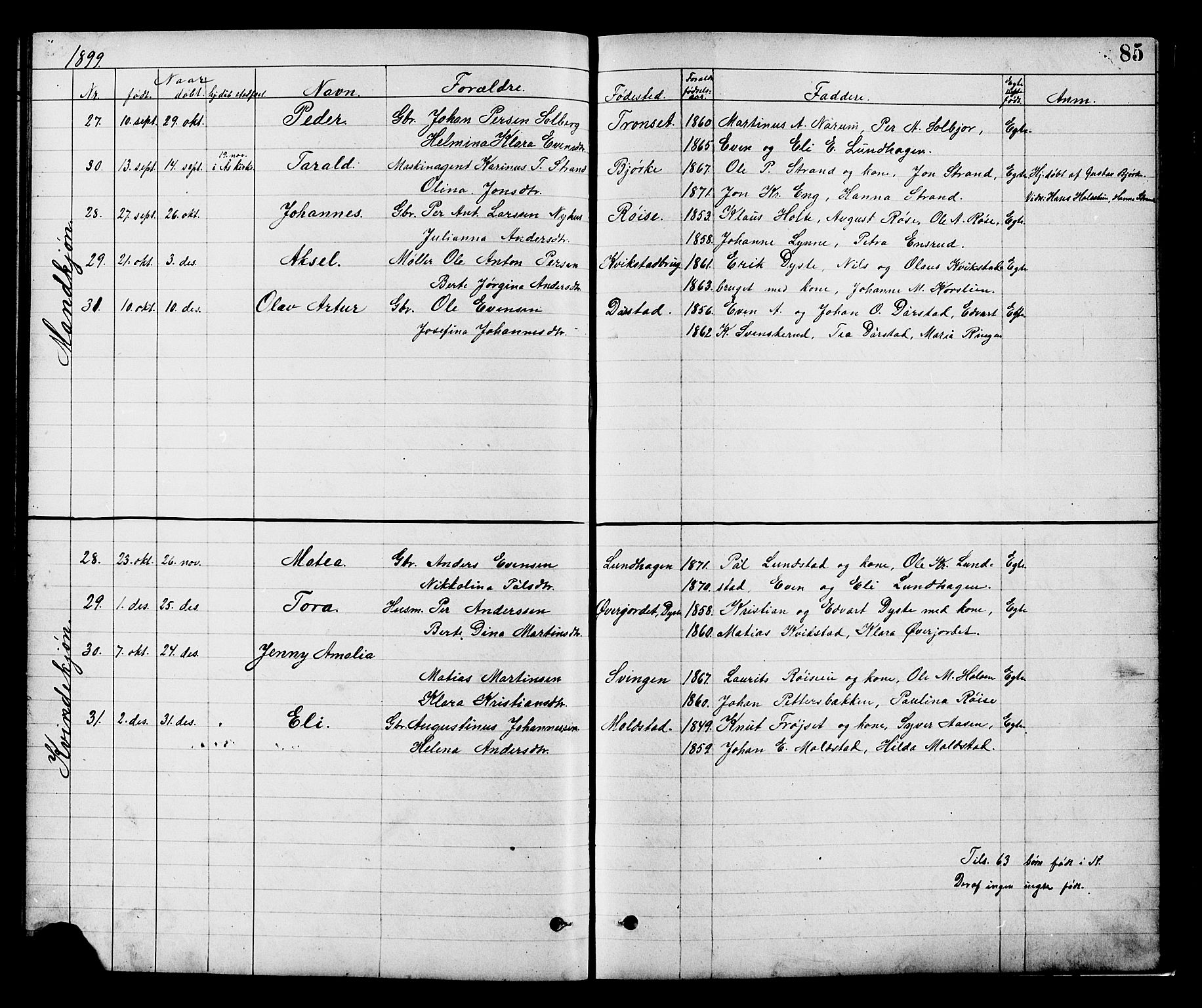 Vestre Toten prestekontor, AV/SAH-PREST-108/H/Ha/Hab/L0008: Parish register (copy) no. 8, 1885-1900, p. 85