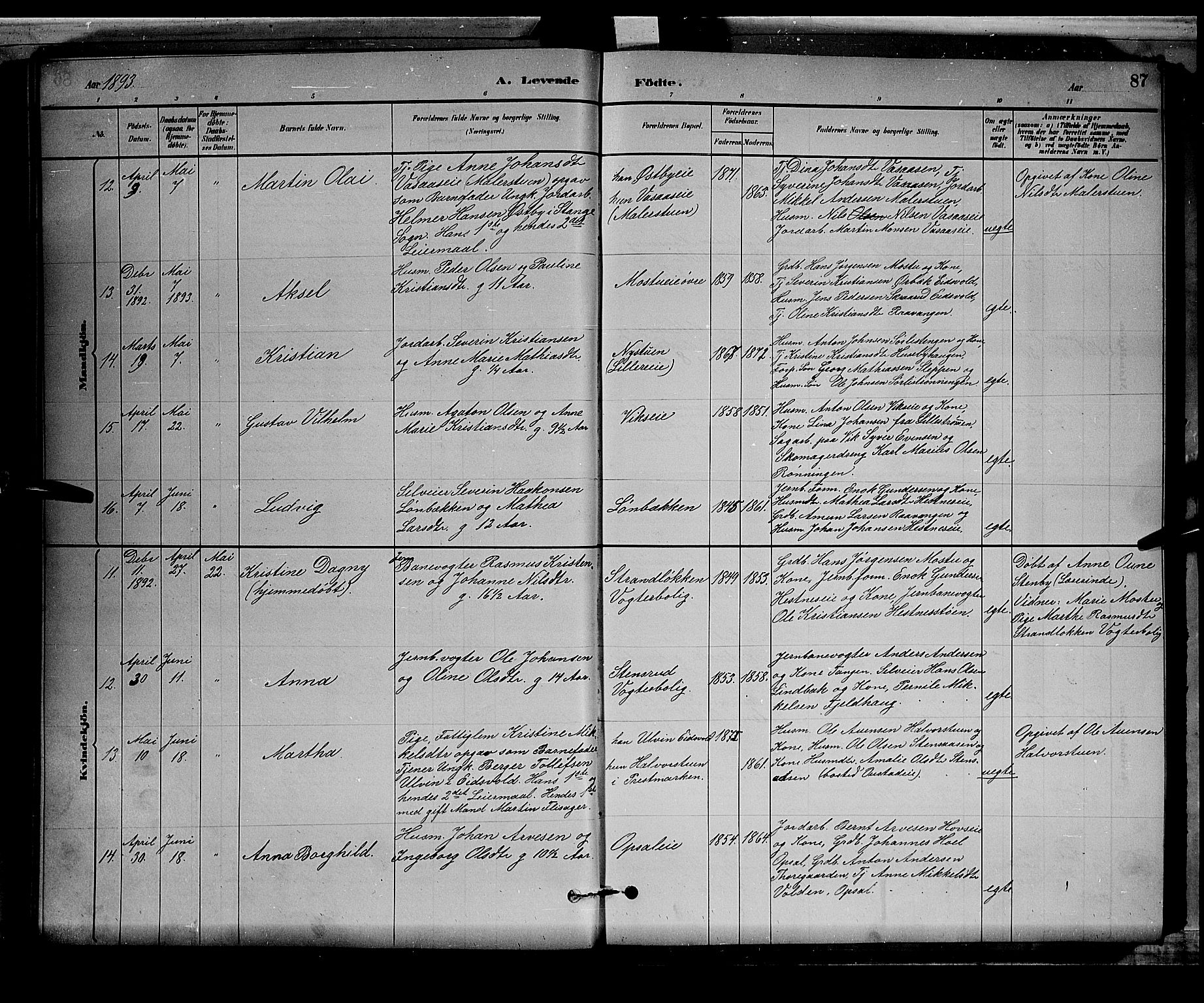 Stange prestekontor, AV/SAH-PREST-002/L/L0008: Parish register (copy) no. 8, 1882-1895, p. 87