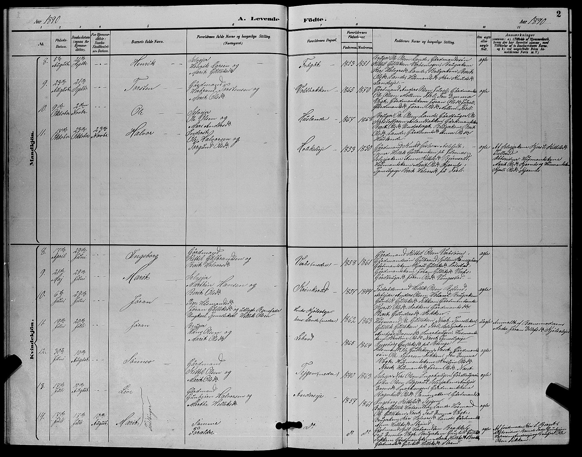 Flesberg kirkebøker, AV/SAKO-A-18/G/Ga/L0004: Parish register (copy) no. I 4 /1, 1890-1898, p. 2