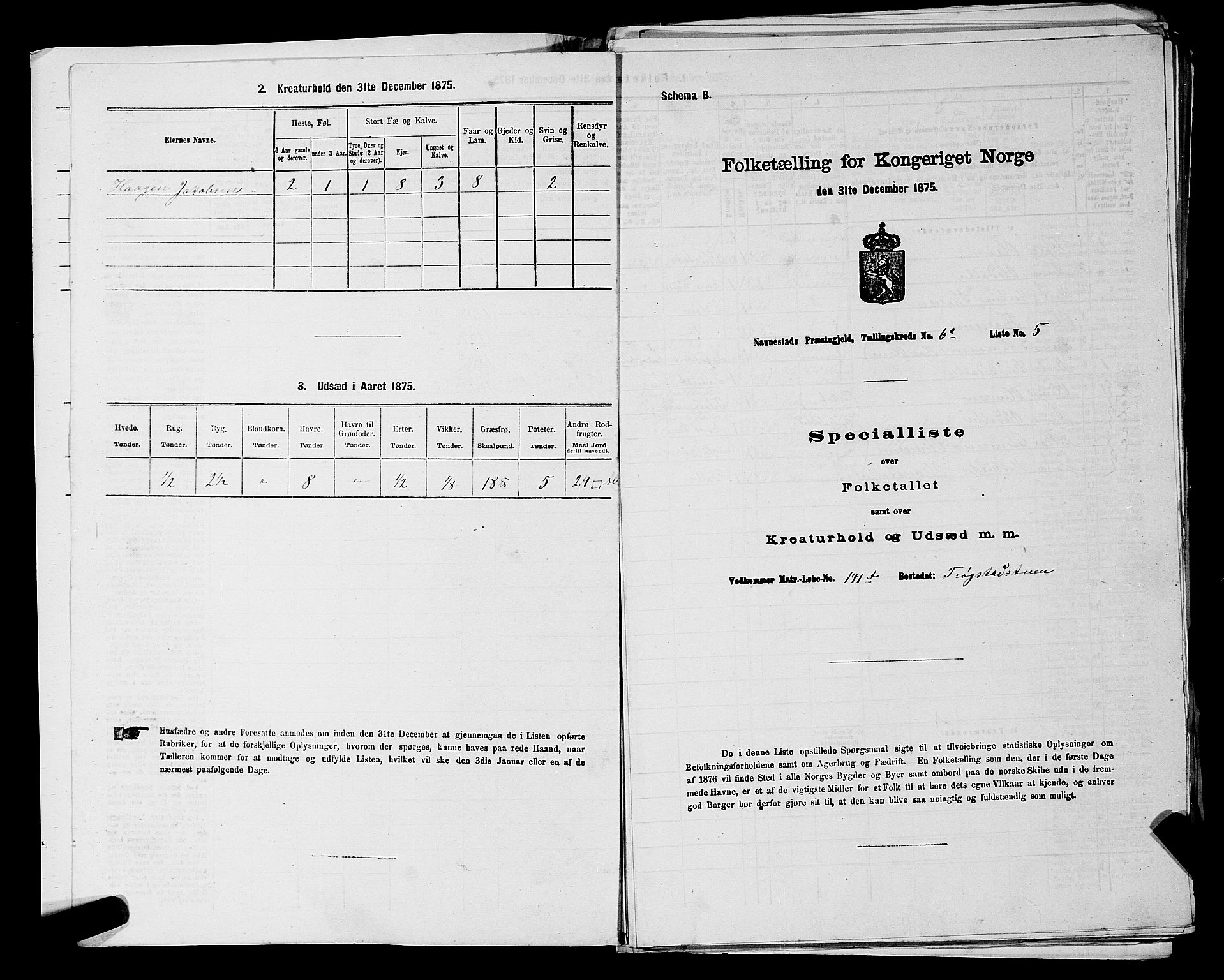 RA, 1875 census for 0238P Nannestad, 1875, p. 875