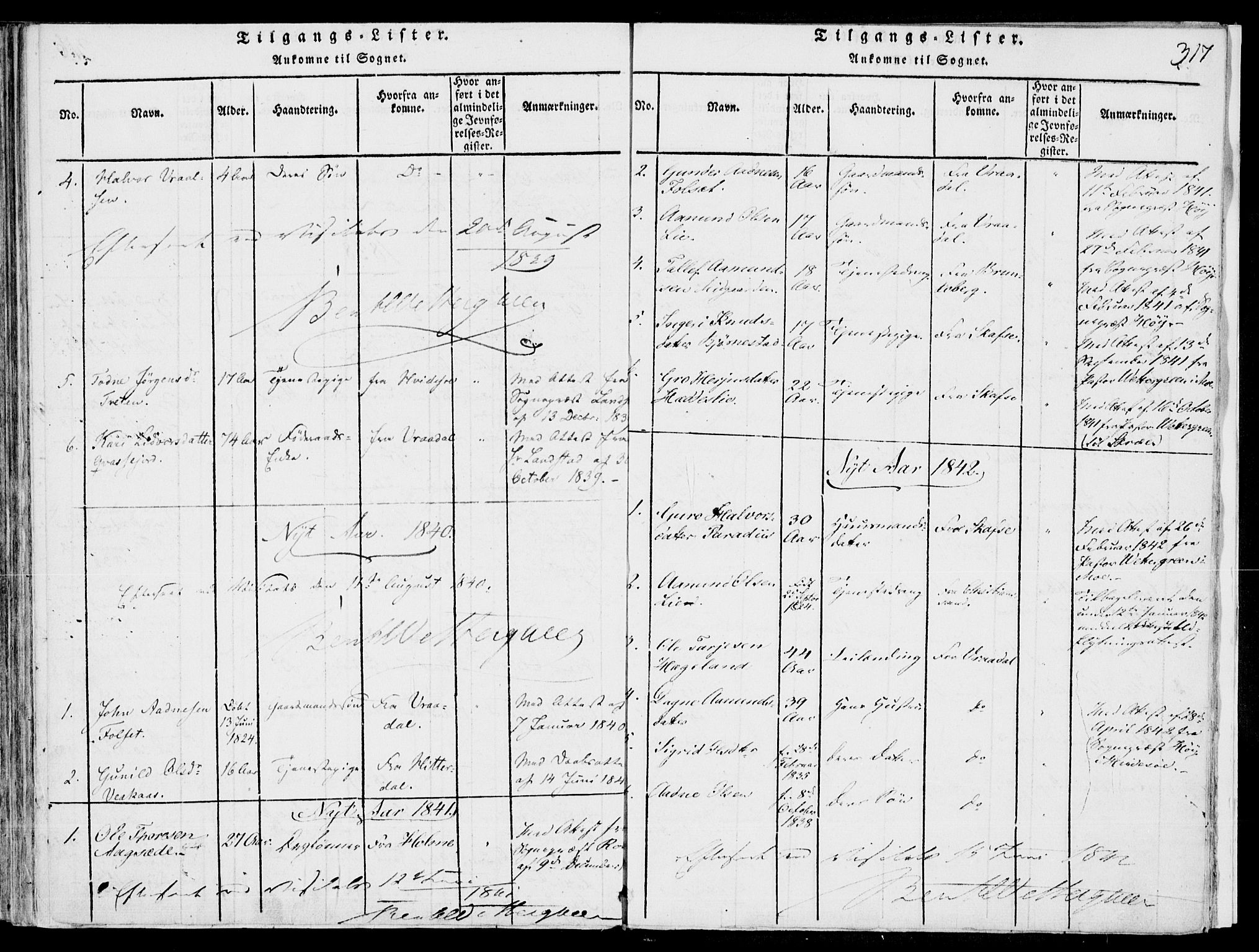 Fyresdal kirkebøker, SAKO/A-263/F/Fb/L0001: Parish register (official) no. II 1, 1815-1854, p. 317