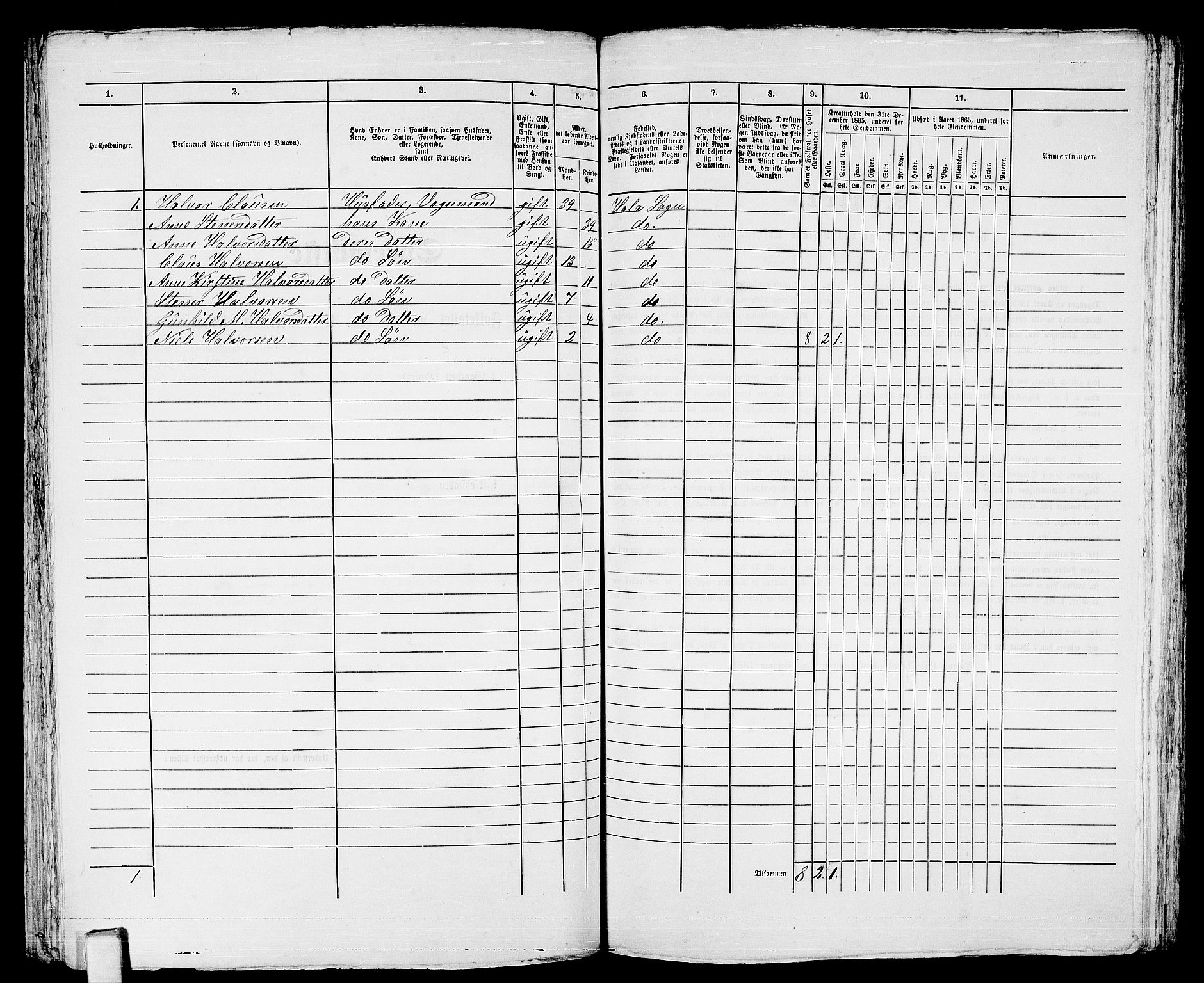 RA, 1865 census for Larvik, 1865, p. 336