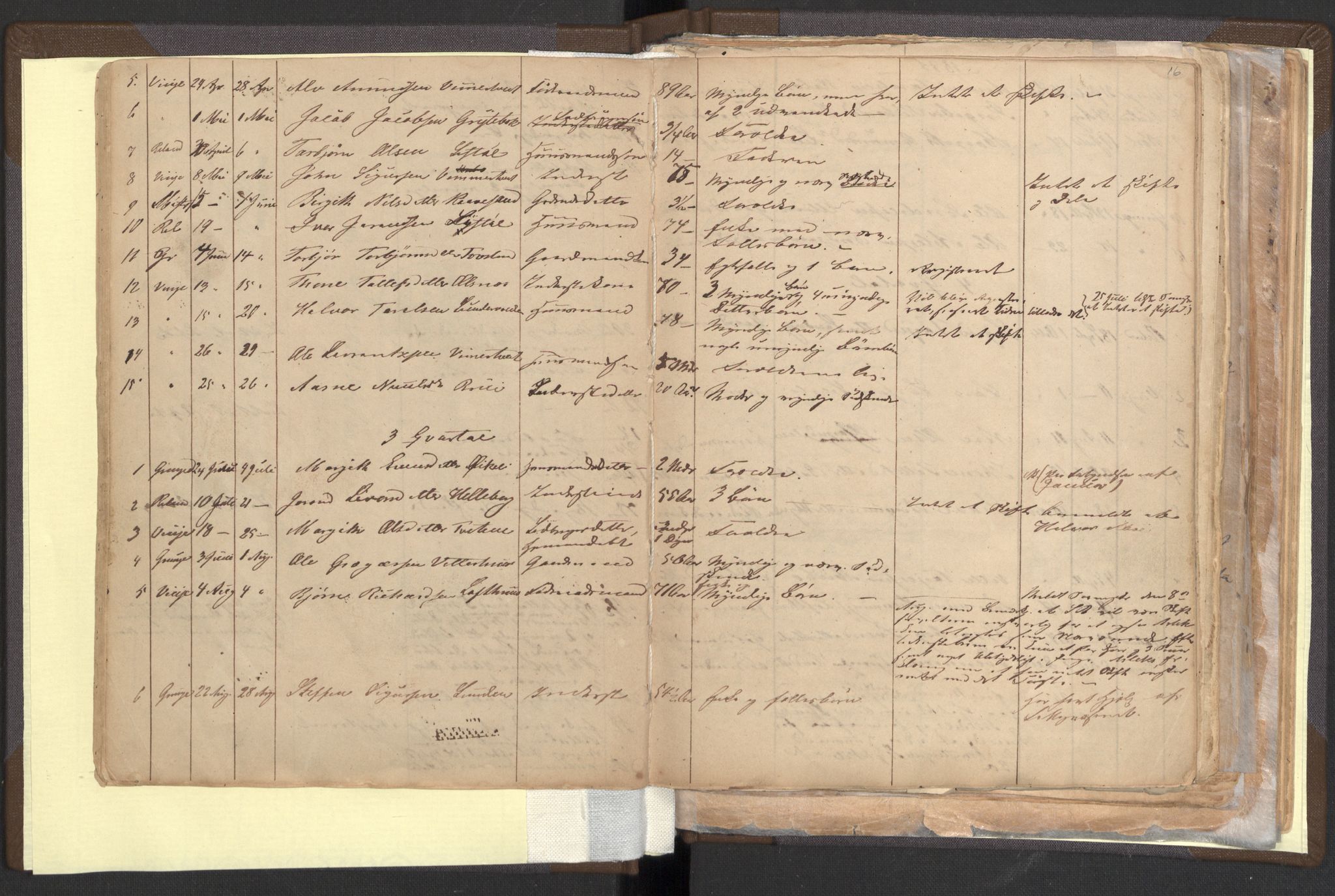 Vinje lensmannskontor, AV/SAKO-A-578/H/Ha/L0001: Dødsanmeldelsesprotokoll , 1845-1915