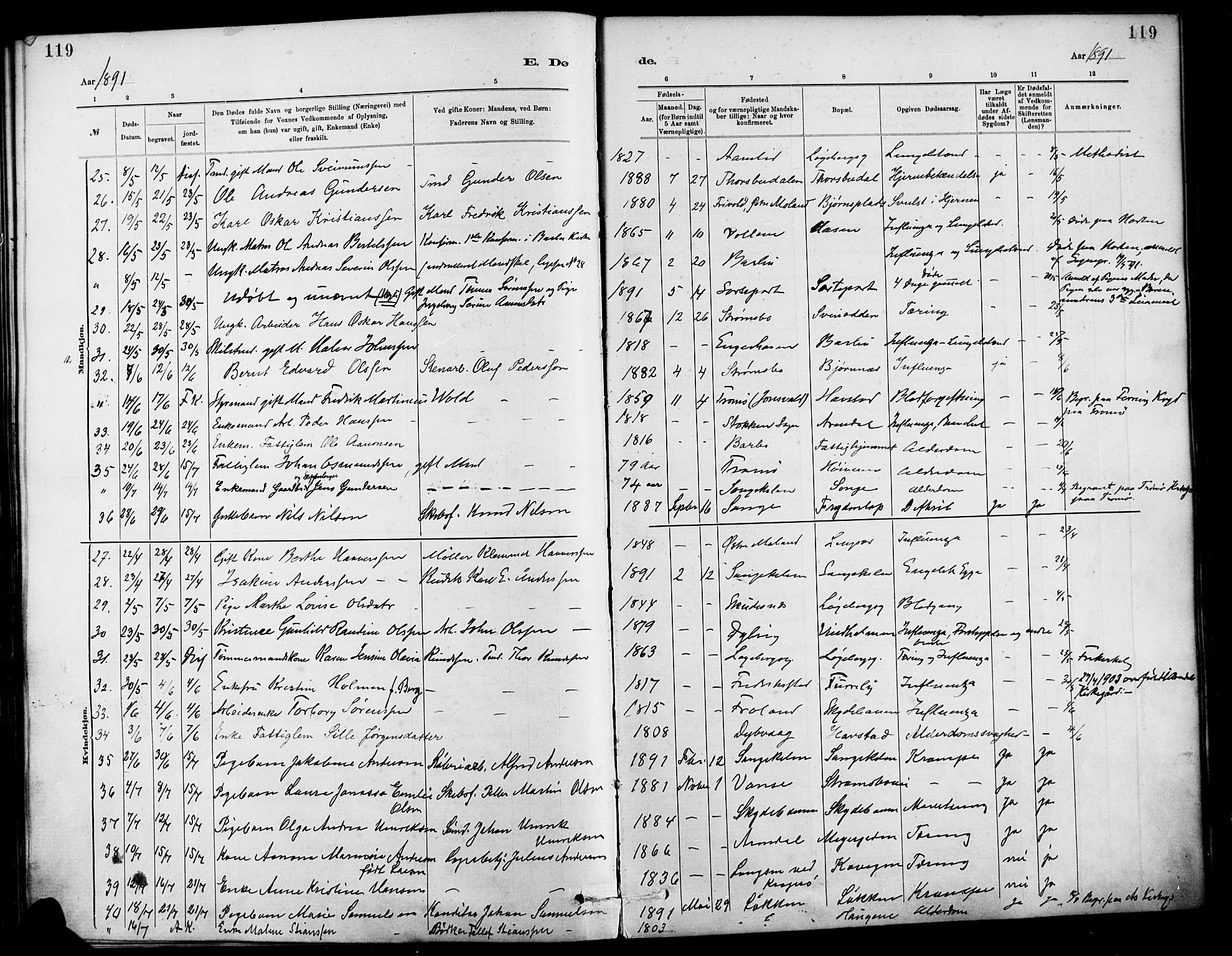 Barbu sokneprestkontor, SAK/1111-0003/F/Fa/L0003: Parish register (official) no. A 3, 1883-1898, p. 119