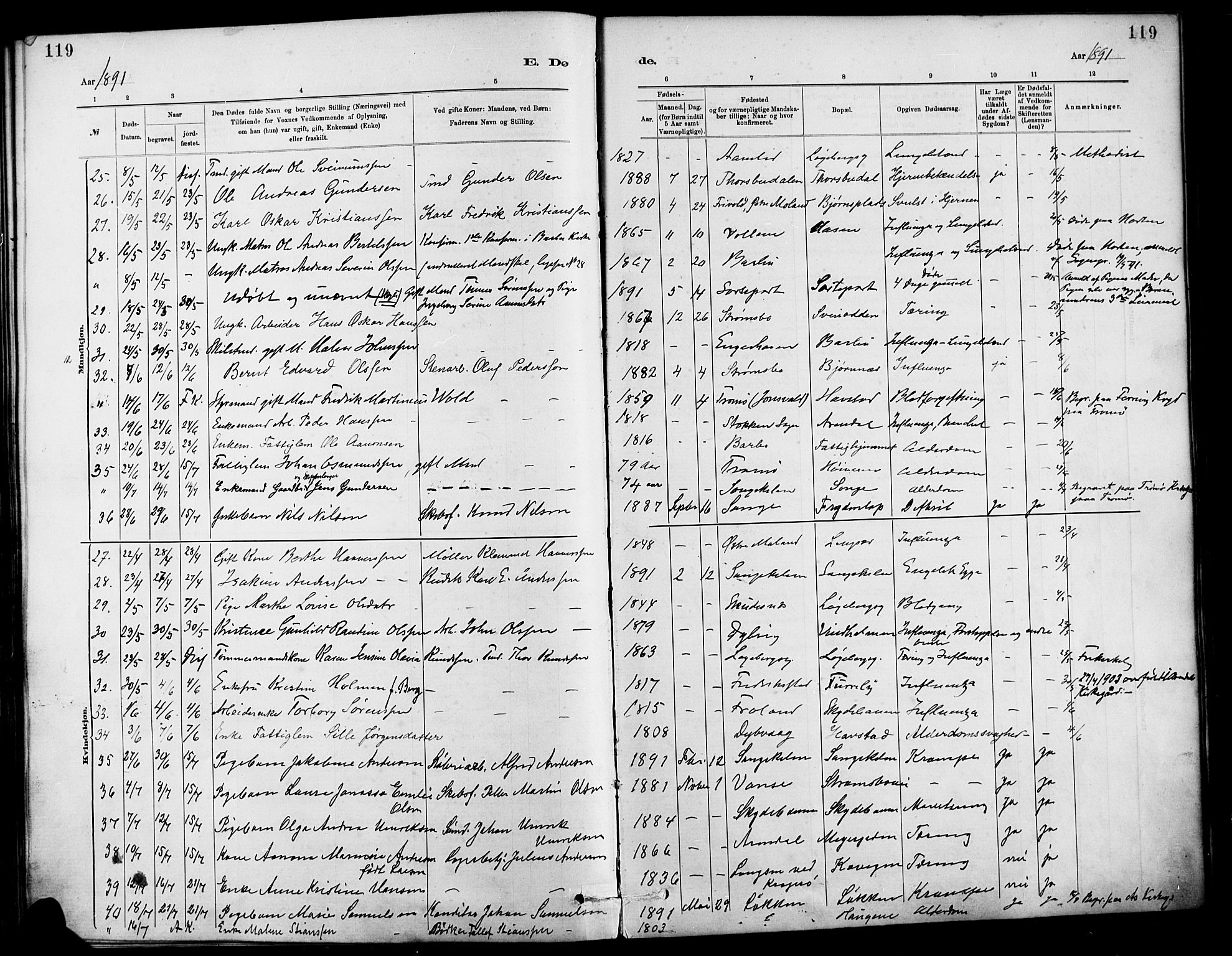 Barbu sokneprestkontor, AV/SAK-1111-0003/F/Fa/L0003: Parish register (official) no. A 3, 1883-1898, p. 119