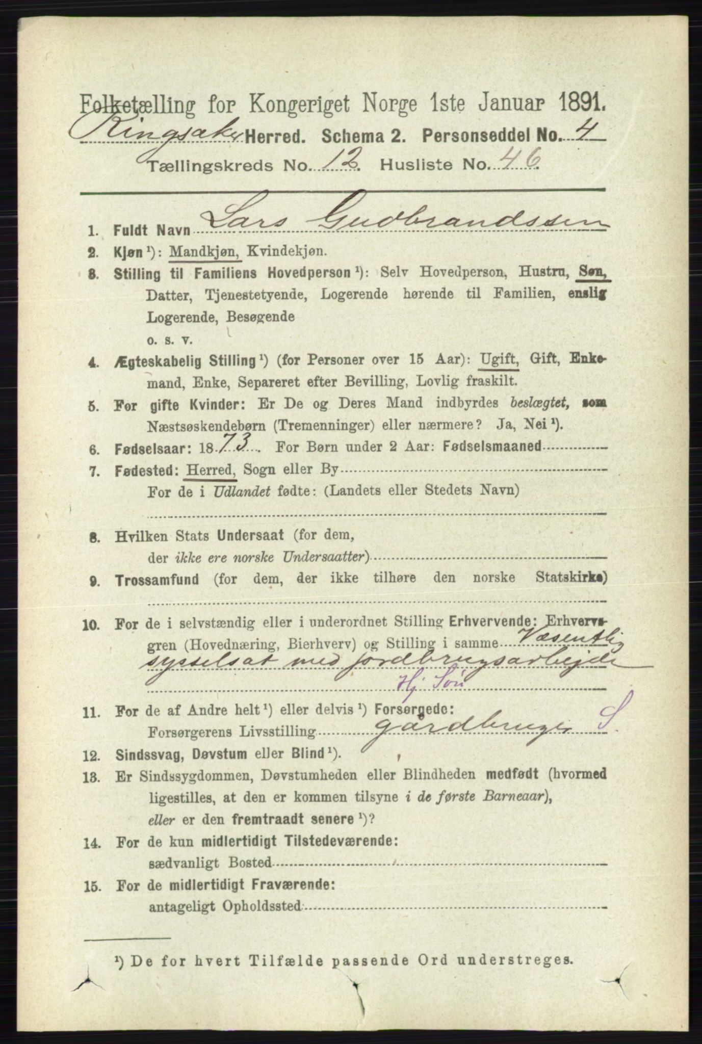RA, 1891 census for 0412 Ringsaker, 1891, p. 7012