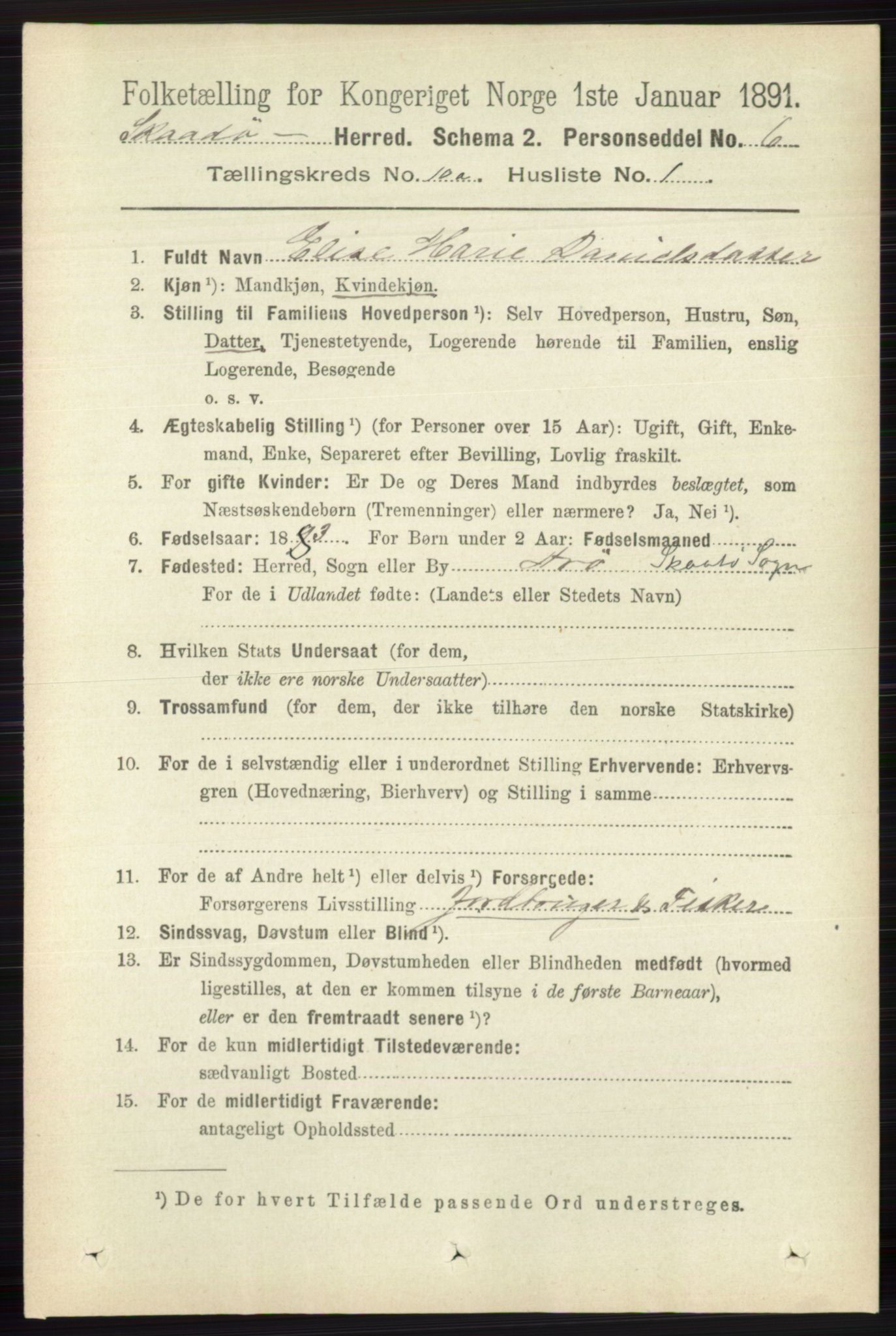 RA, 1891 census for 0815 Skåtøy, 1891, p. 4037