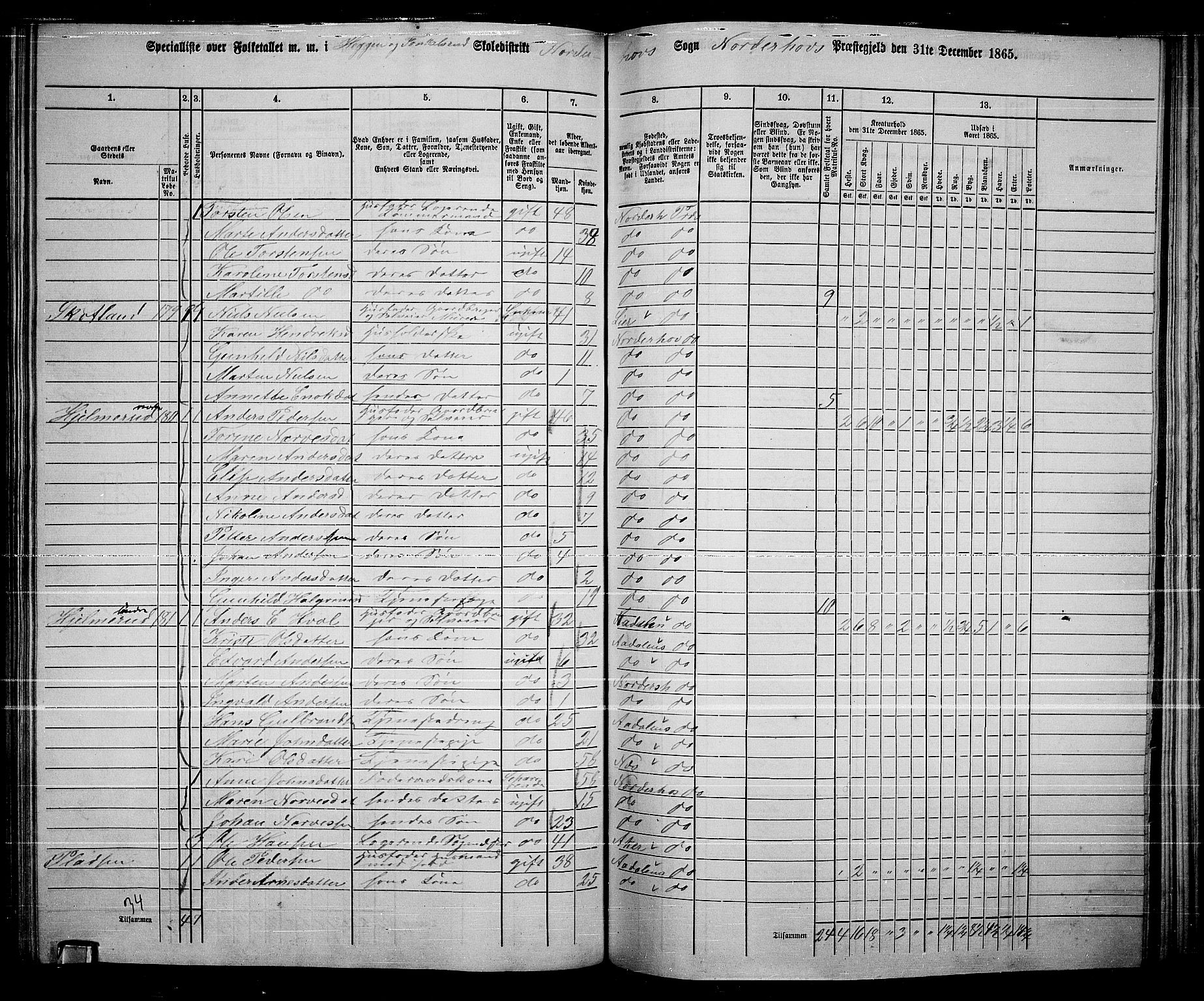 RA, 1865 census for Norderhov/Norderhov, Haug og Lunder, 1865, p. 204