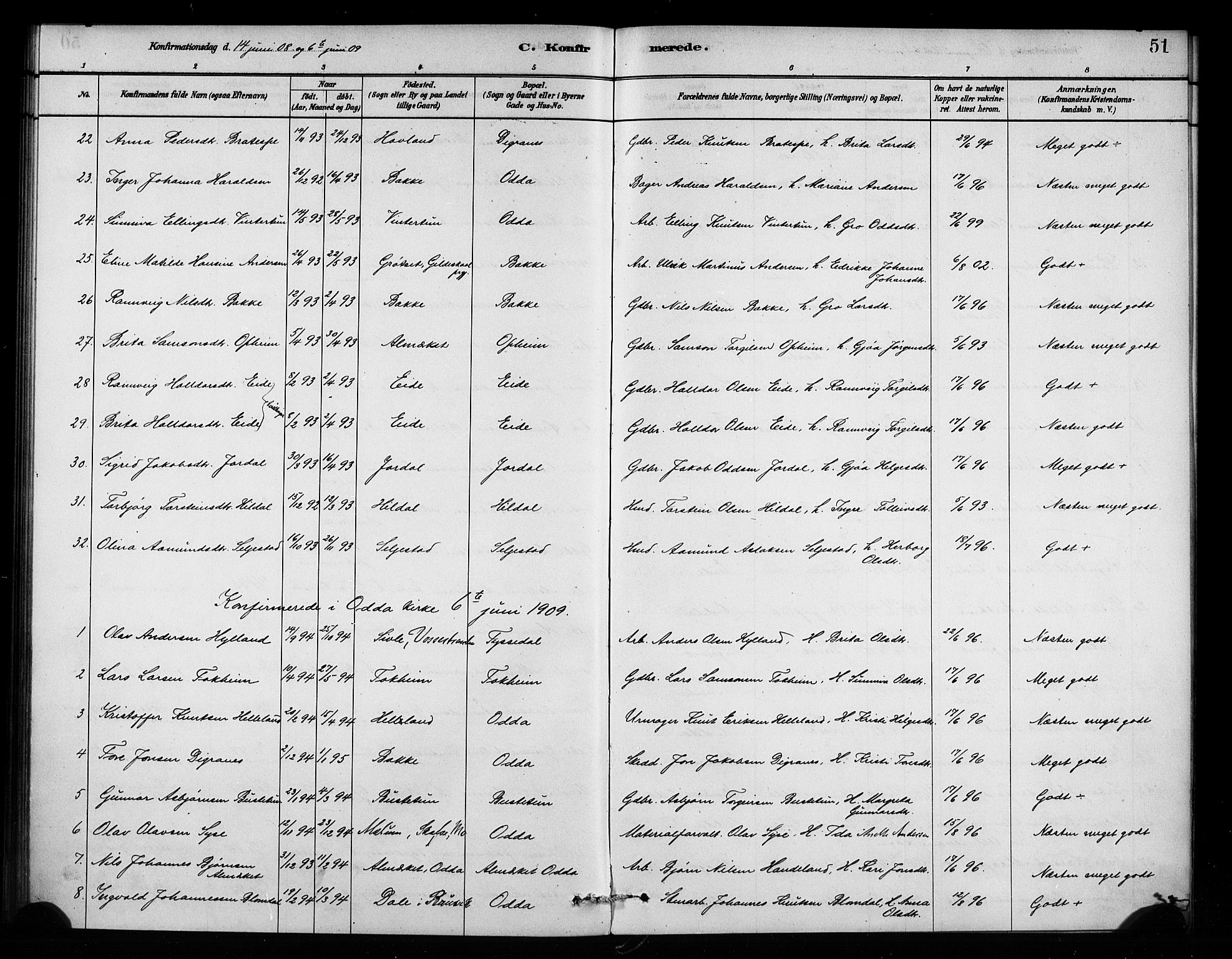 Odda Sokneprestembete, AV/SAB-A-77201/H/Haa: Parish register (official) no. A 2, 1880-1915, p. 51