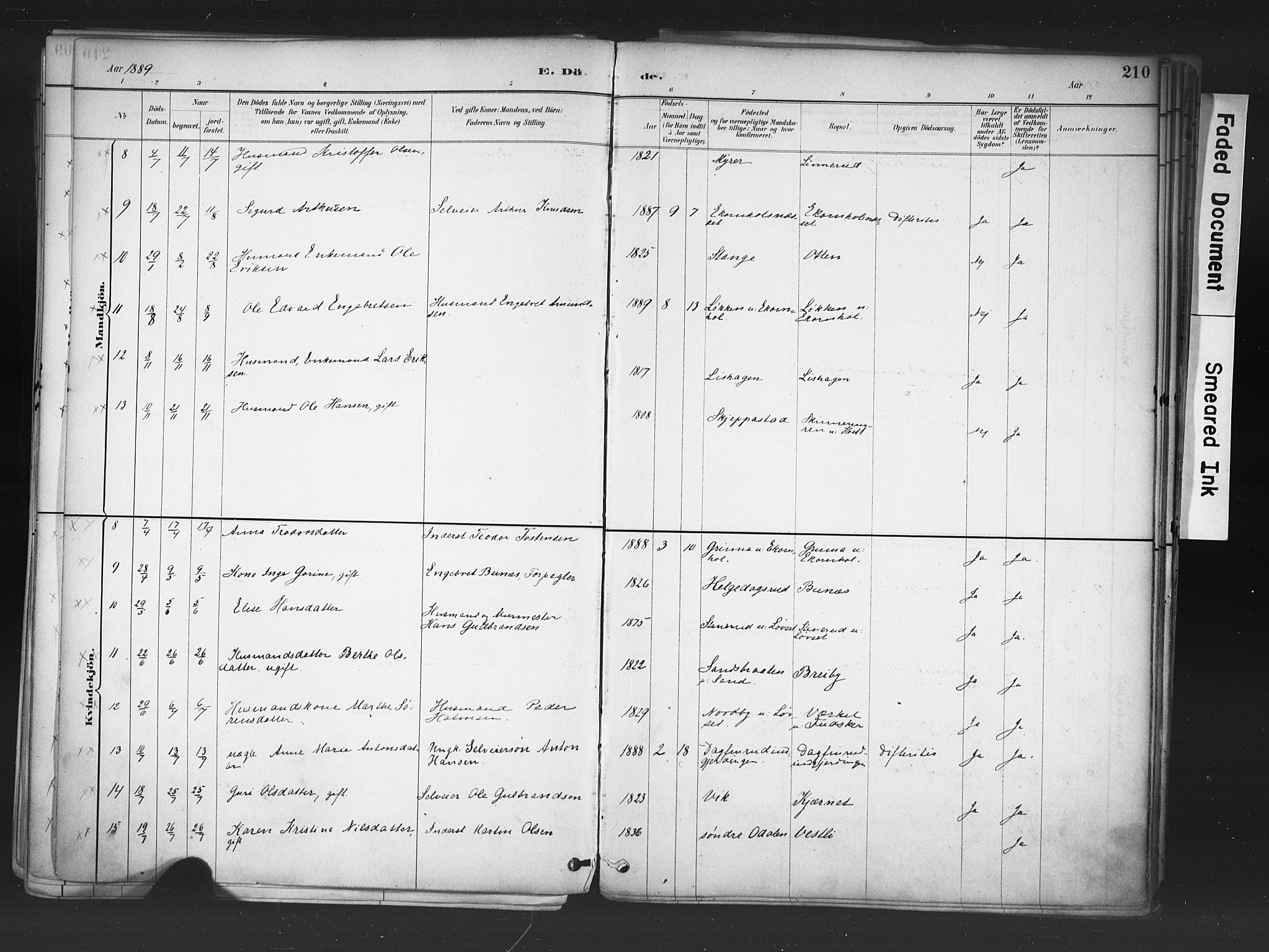 Nord-Odal prestekontor, AV/SAH-PREST-032/H/Ha/Haa/L0006: Parish register (official) no. 6, 1886-1901, p. 210