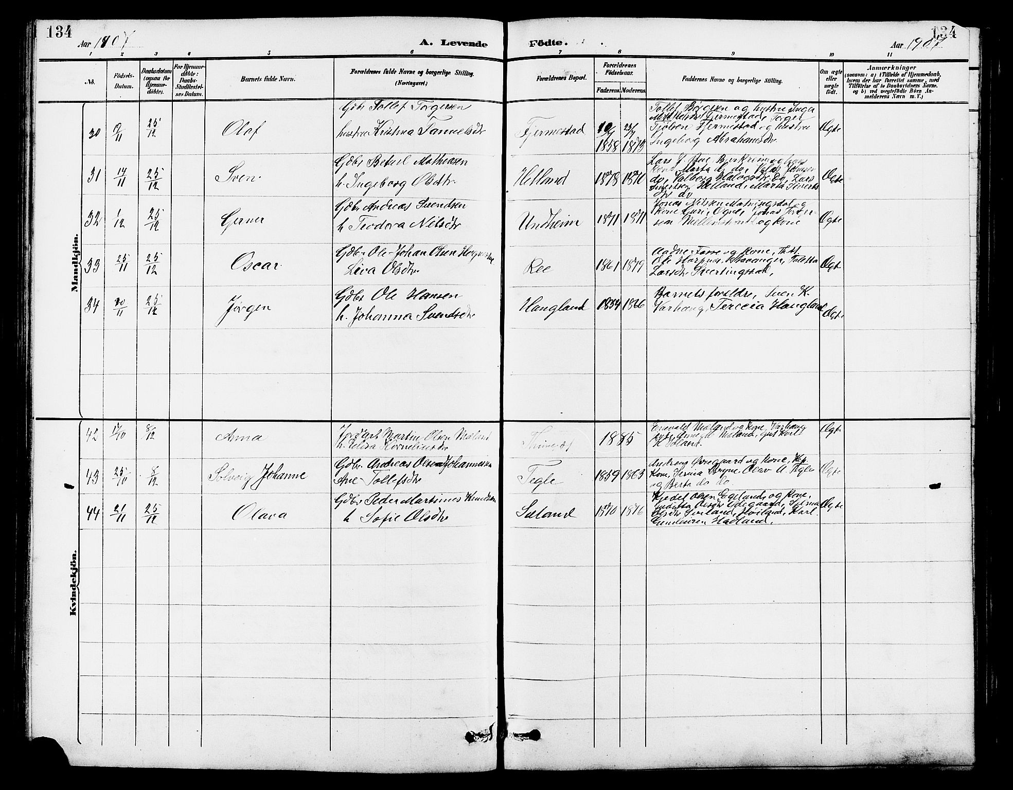 Lye sokneprestkontor, AV/SAST-A-101794/001/30BB/L0007: Parish register (copy) no. B 8, 1889-1909, p. 134