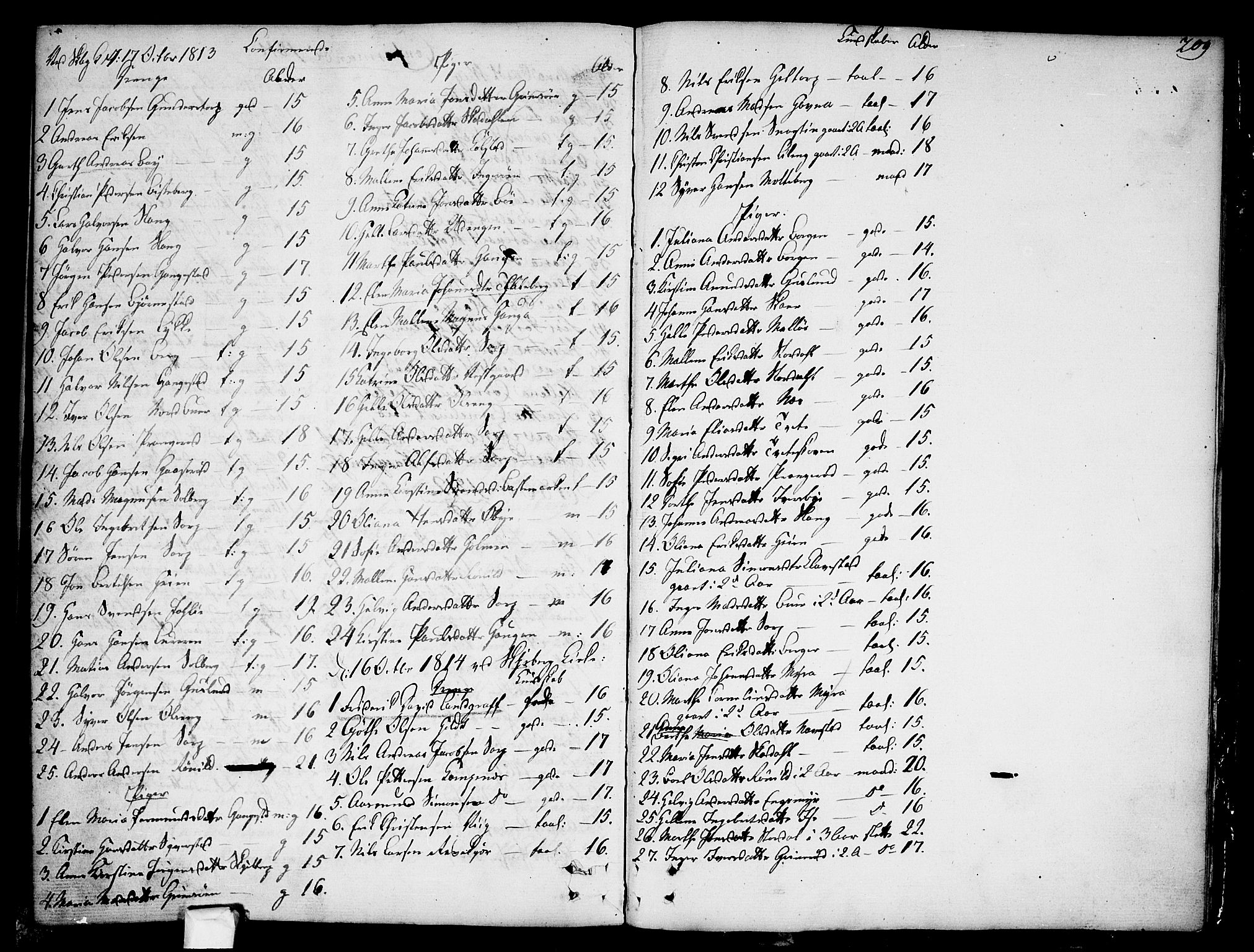 Skjeberg prestekontor Kirkebøker, SAO/A-10923/F/Fa/L0003: Parish register (official) no. I 3, 1792-1814, p. 209
