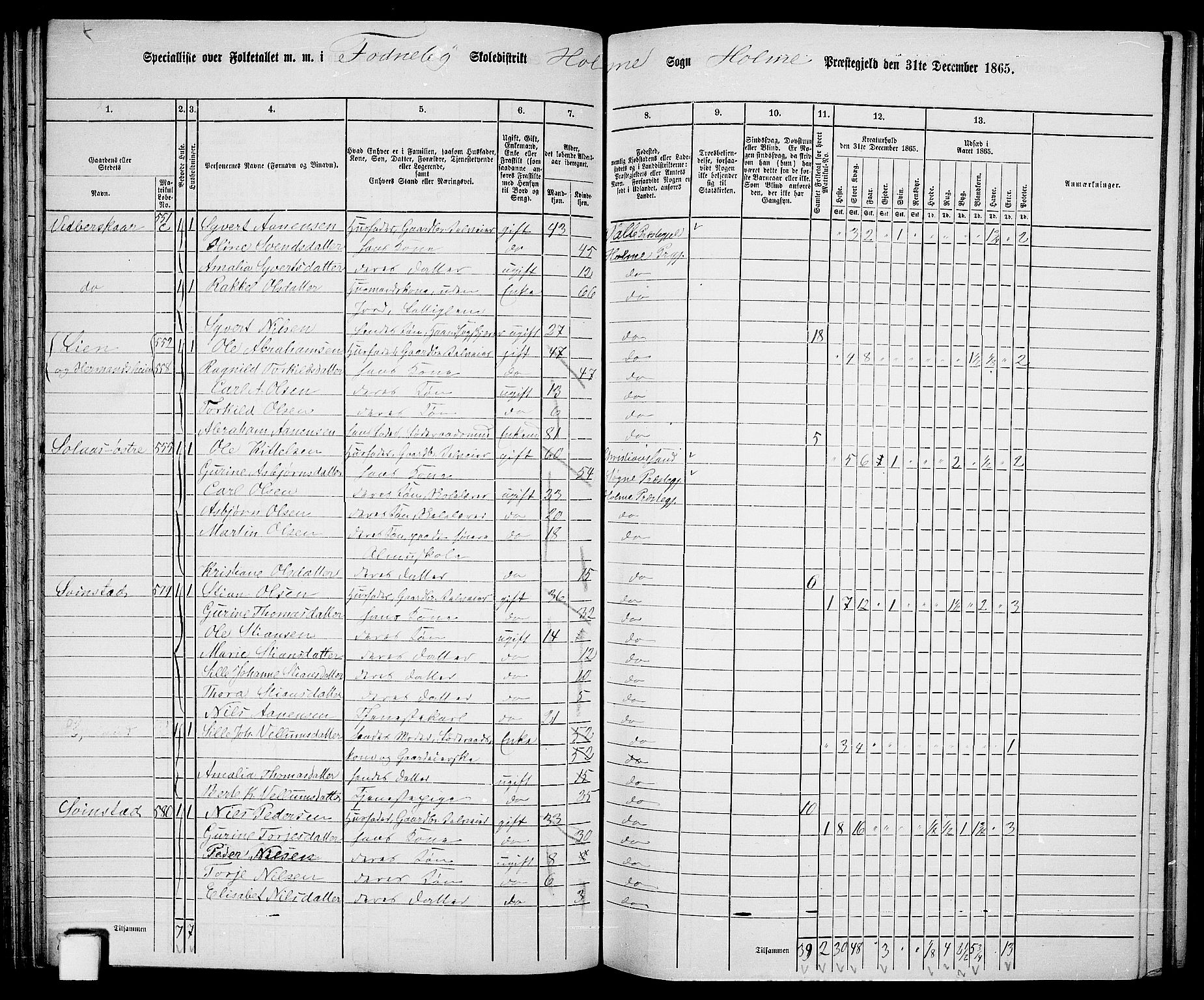 RA, 1865 census for Holum, 1865, p. 65