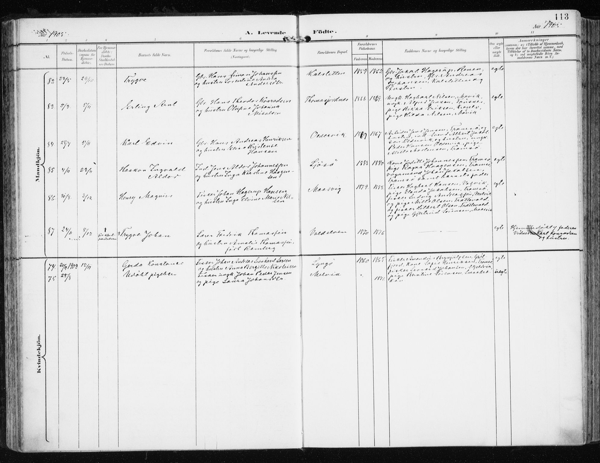 Tromsøysund sokneprestkontor, AV/SATØ-S-1304/G/Ga/L0006kirke: Parish register (official) no. 6, 1897-1906, p. 113