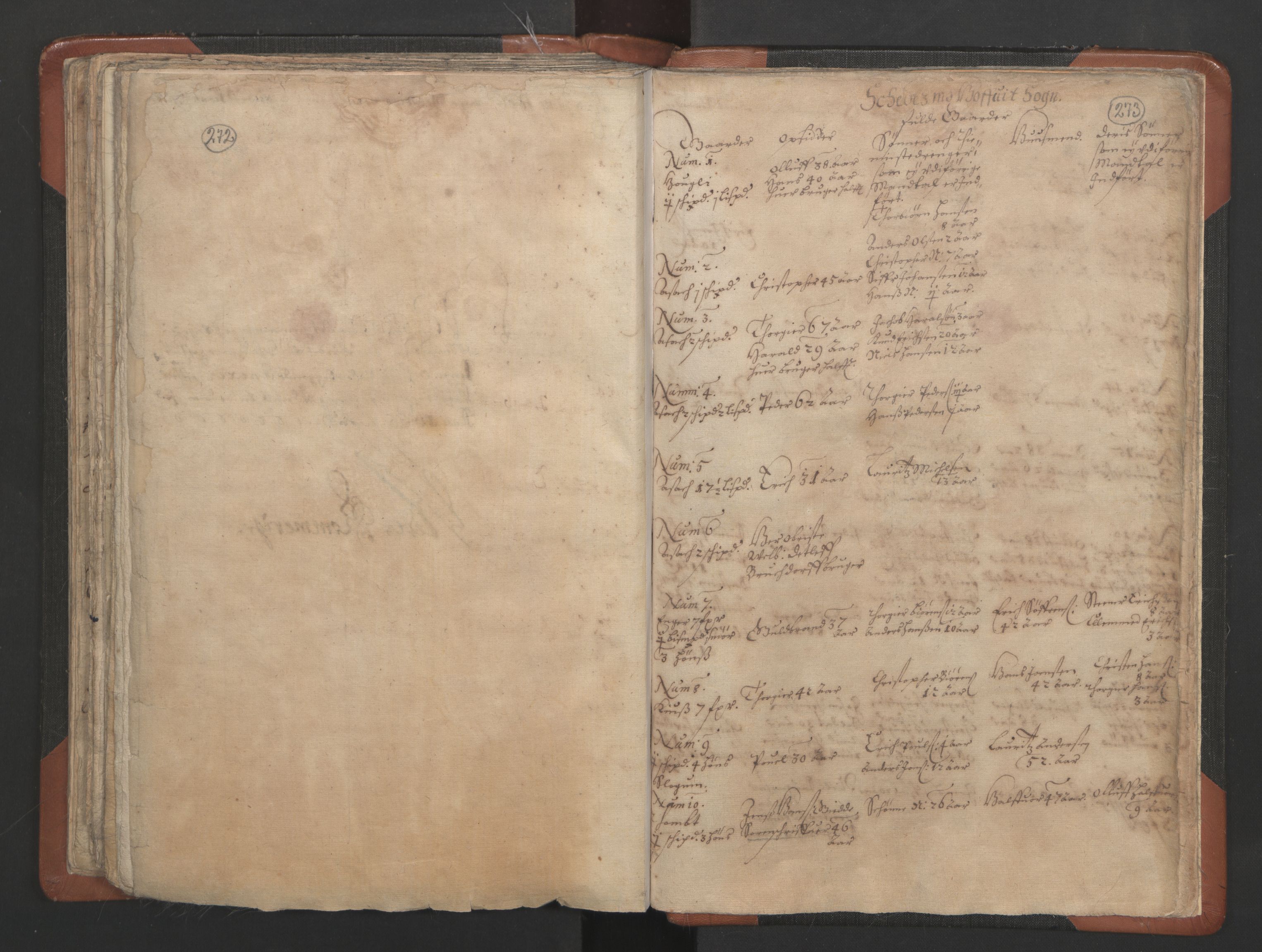 RA, Vicar's Census 1664-1666, no. 3: Nedre Romerike deanery, 1664-1666, p. 272-273
