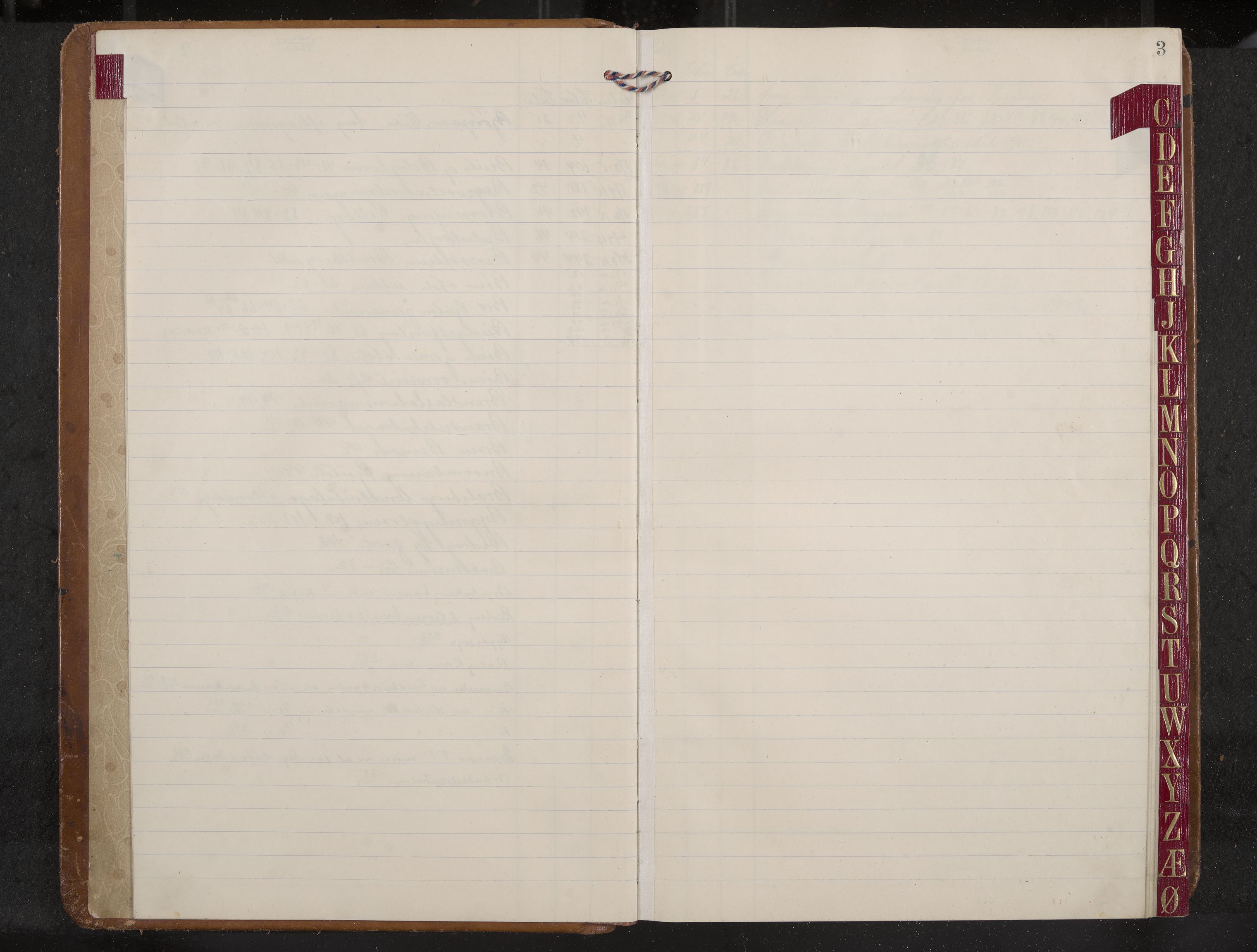 Tinn formannskap og sentraladministrasjon, IKAK/0826021-1/A/Aa/L0004: Møtebok med register, 1915-1919, p. 3