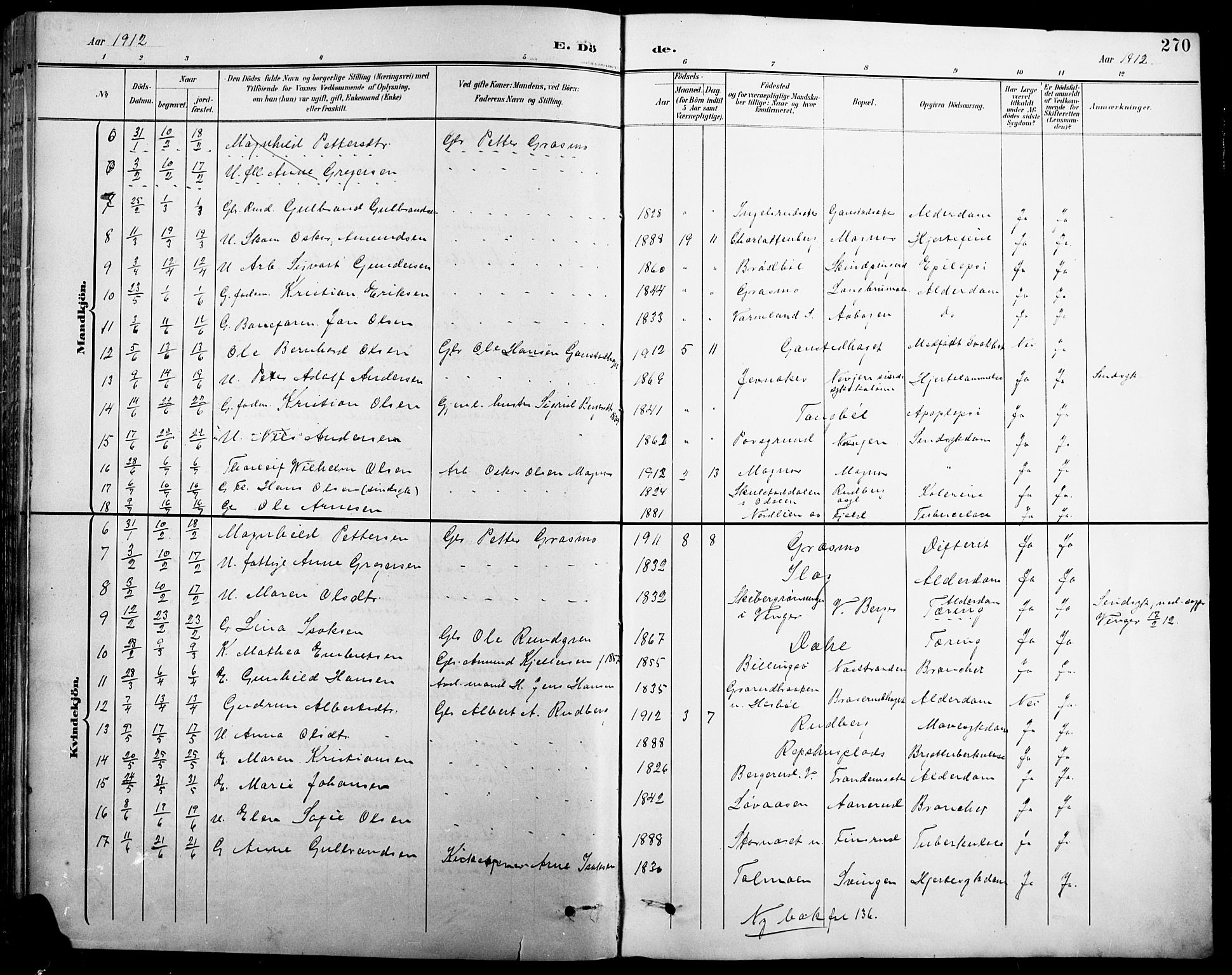 Eidskog prestekontor, SAH/PREST-026/H/Ha/Hab/L0001: Parish register (copy) no. 1, 1895-1917, p. 270