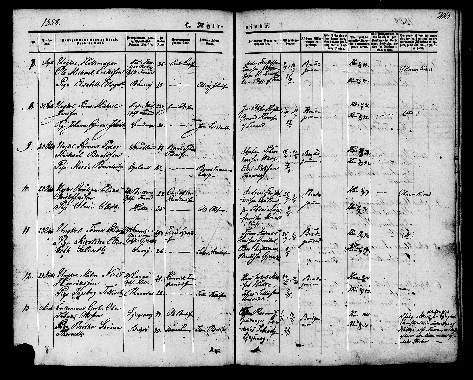 Herad sokneprestkontor, AV/SAK-1111-0018/F/Fa/Fab/L0004: Parish register (official) no. A 4, 1853-1885, p. 223