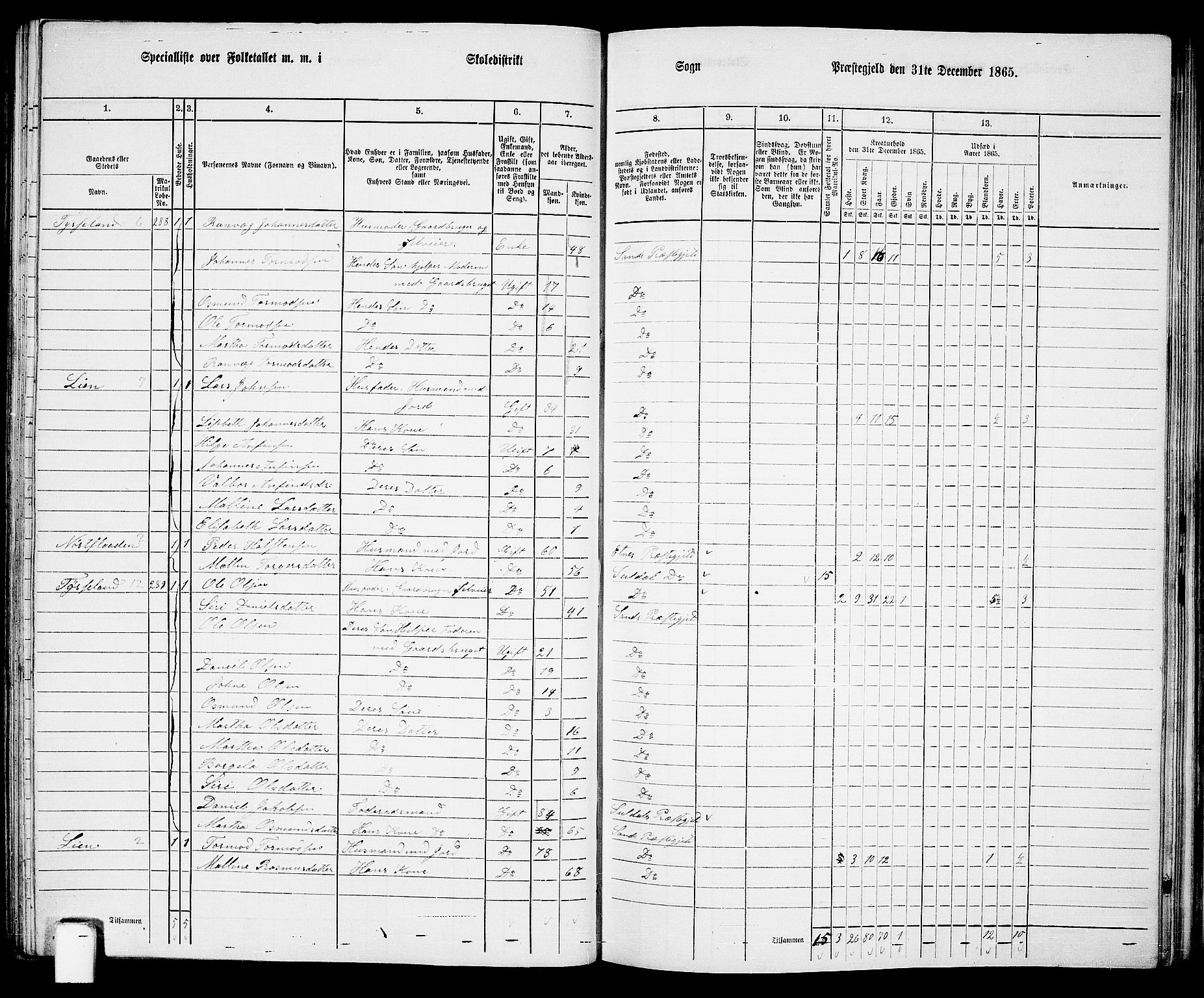 RA, 1865 census for Sand, 1865, p. 75