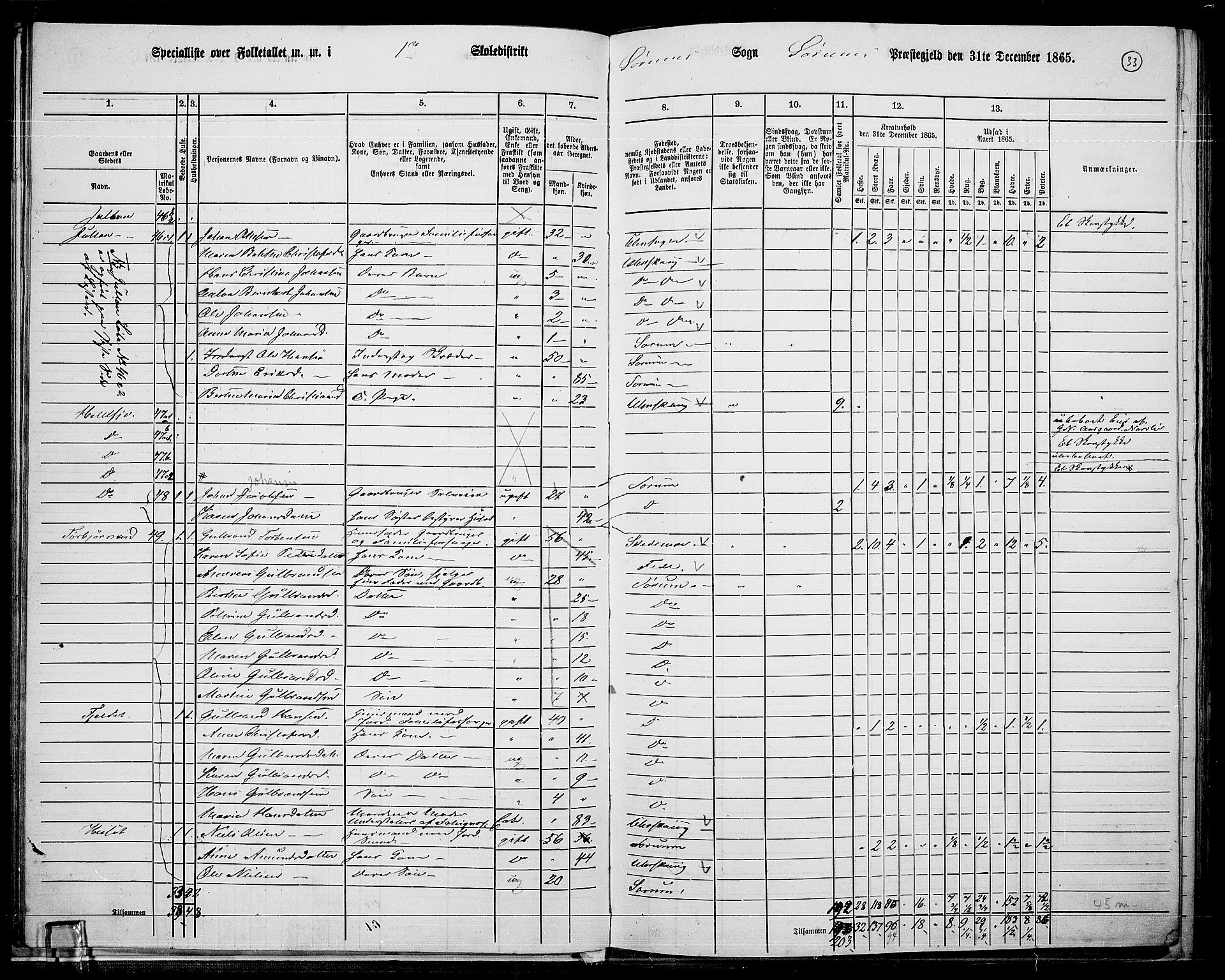 RA, 1865 census for Sørum, 1865, p. 31