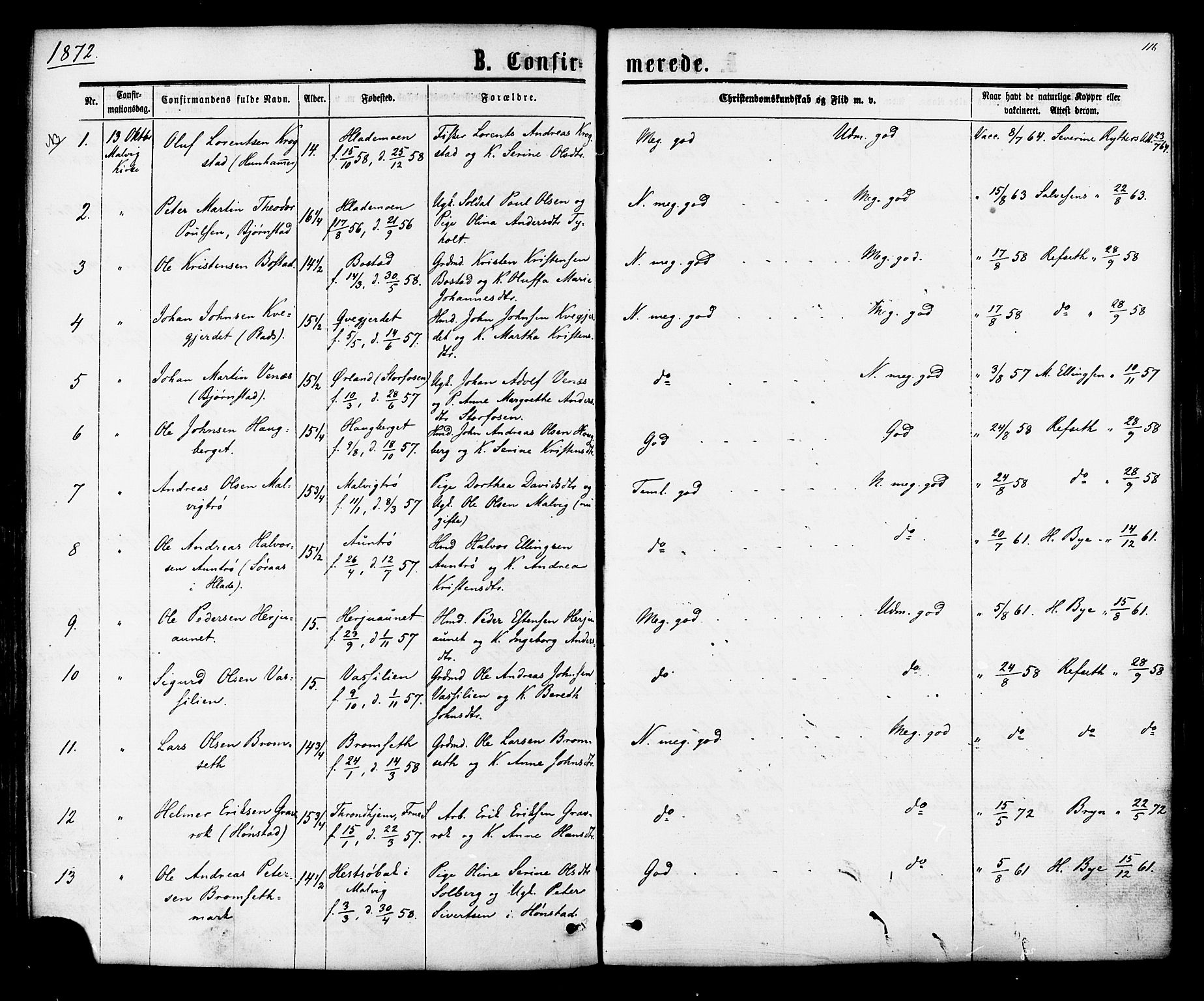 Ministerialprotokoller, klokkerbøker og fødselsregistre - Sør-Trøndelag, SAT/A-1456/616/L0409: Parish register (official) no. 616A06, 1865-1877, p. 116