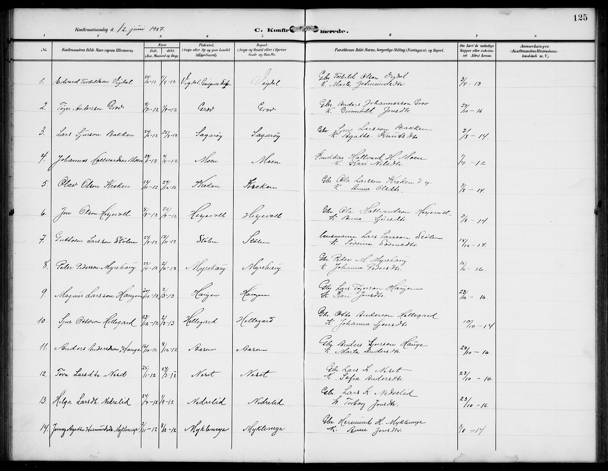 Jostedal sokneprestembete, AV/SAB-A-80601/H/Hab/Haba/L0002: Parish register (copy) no. A 2, 1907-1931, p. 125