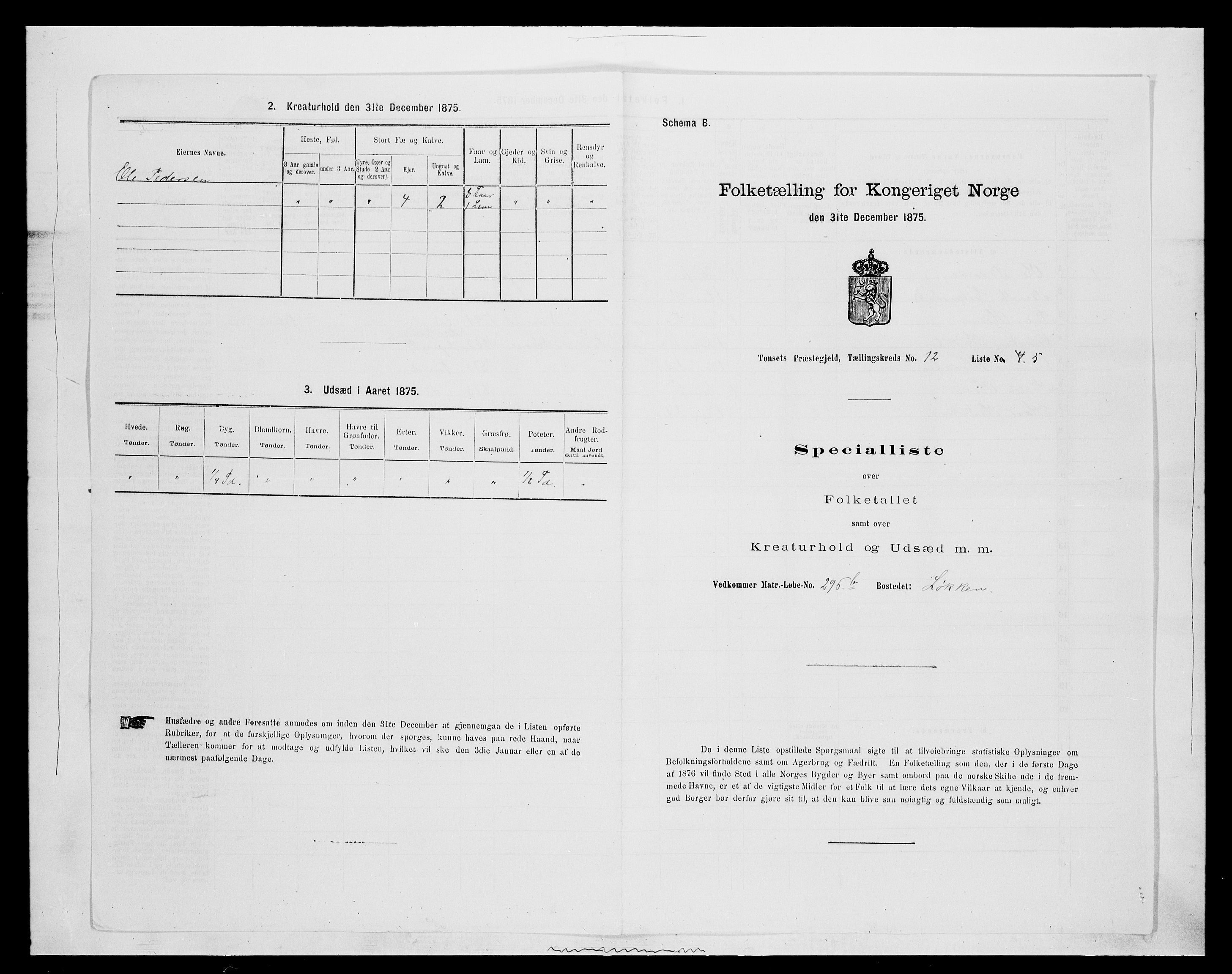 SAH, 1875 census for 0437P Tynset, 1875, p. 1060