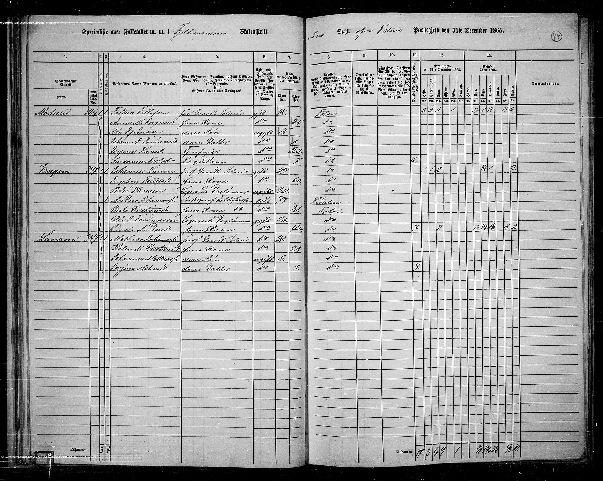 RA, 1865 census for Vestre Toten, 1865, p. 50