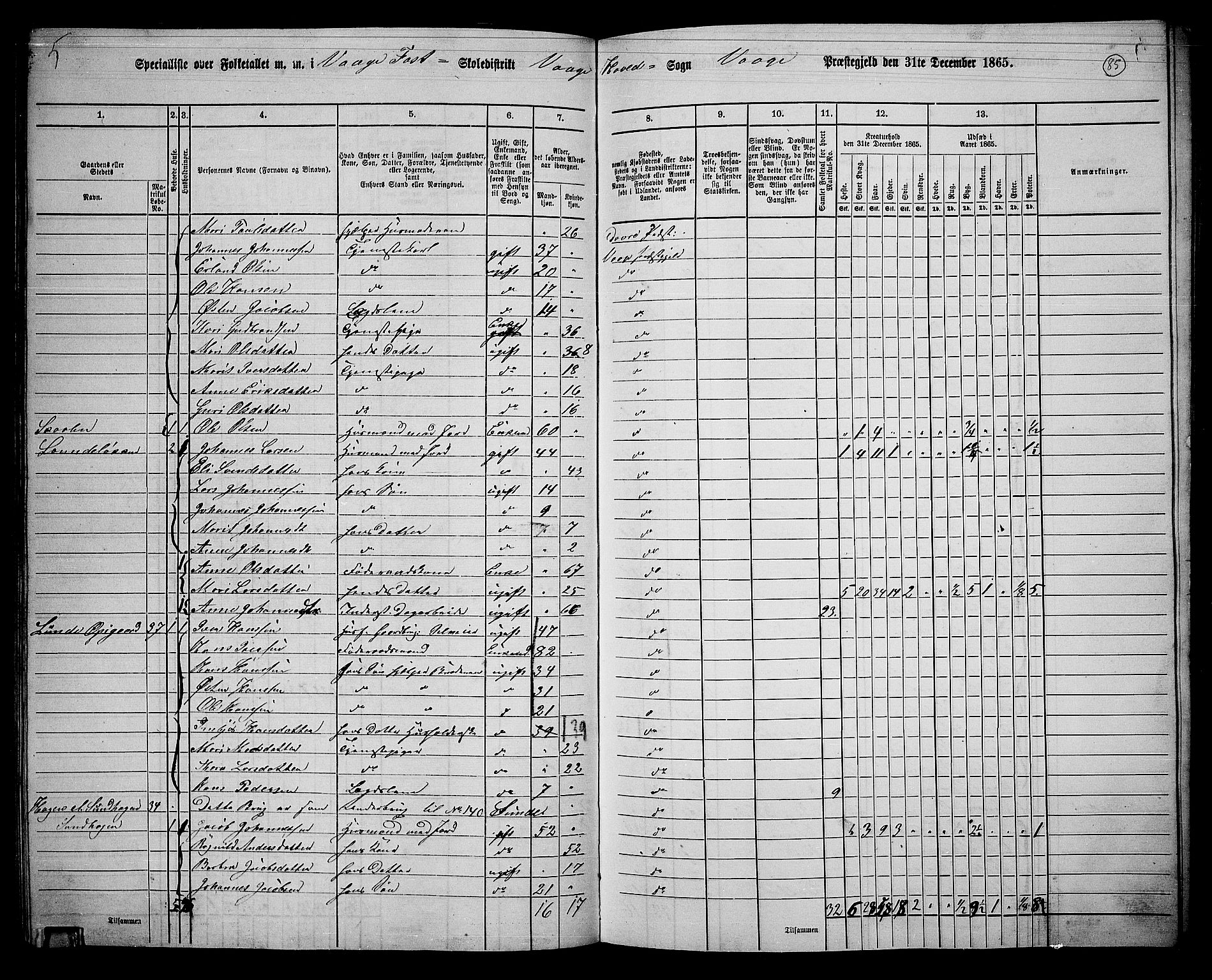 RA, 1865 census for Vågå, 1865, p. 81