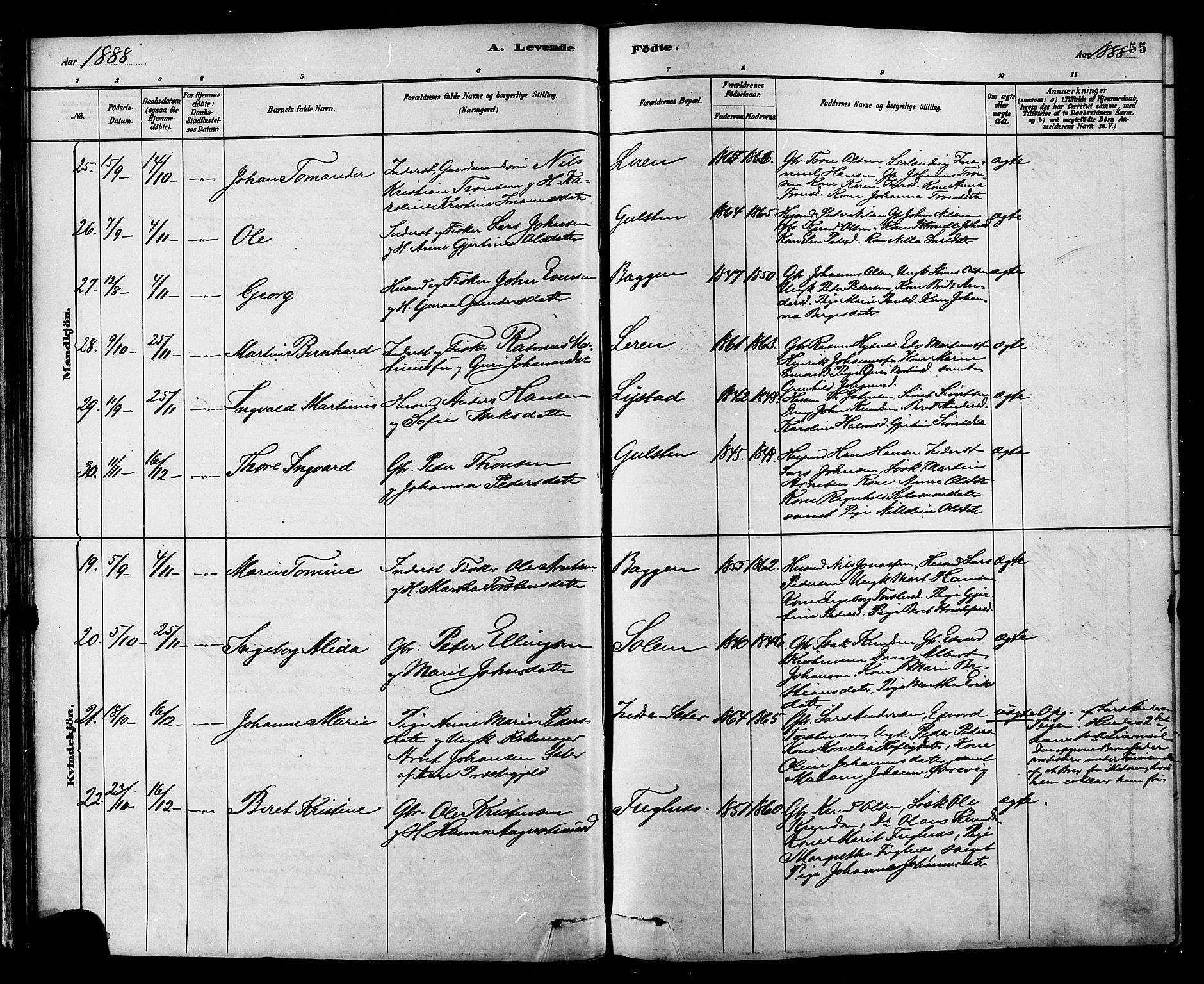 Ministerialprotokoller, klokkerbøker og fødselsregistre - Møre og Romsdal, AV/SAT-A-1454/577/L0896: Parish register (official) no. 577A03, 1880-1898, p. 55