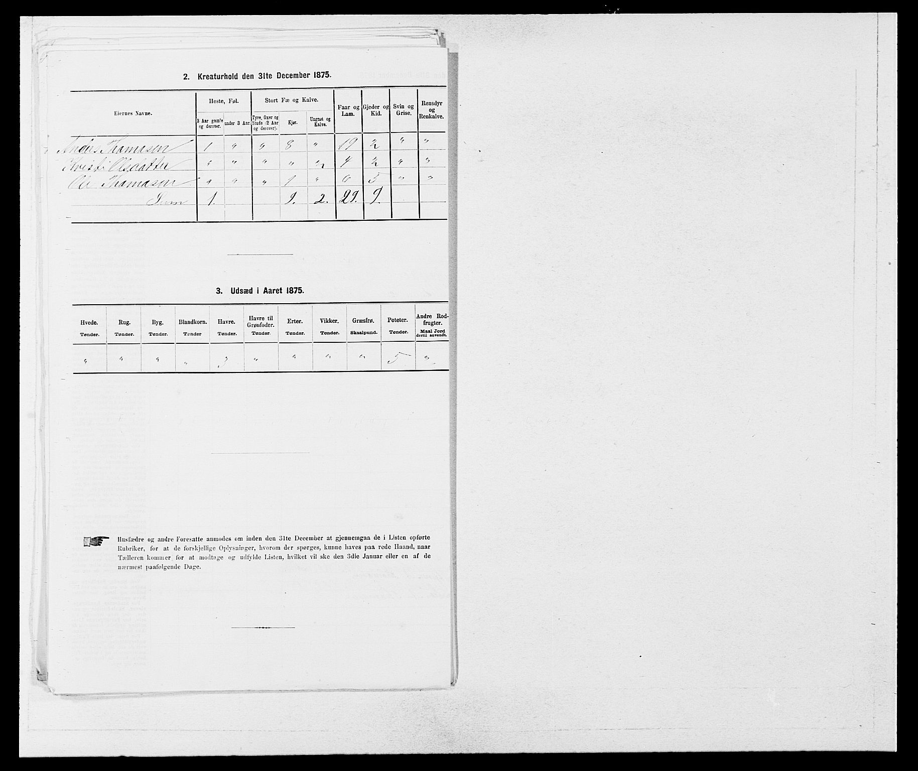 SAB, 1875 census for 1251P Bruvik, 1875, p. 489