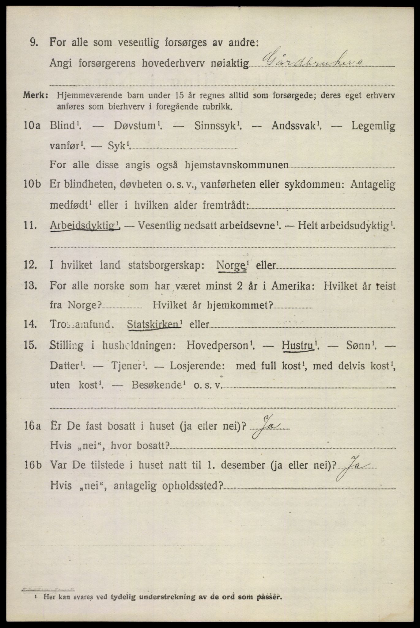 SAKO, 1920 census for Våle, 1920, p. 1953