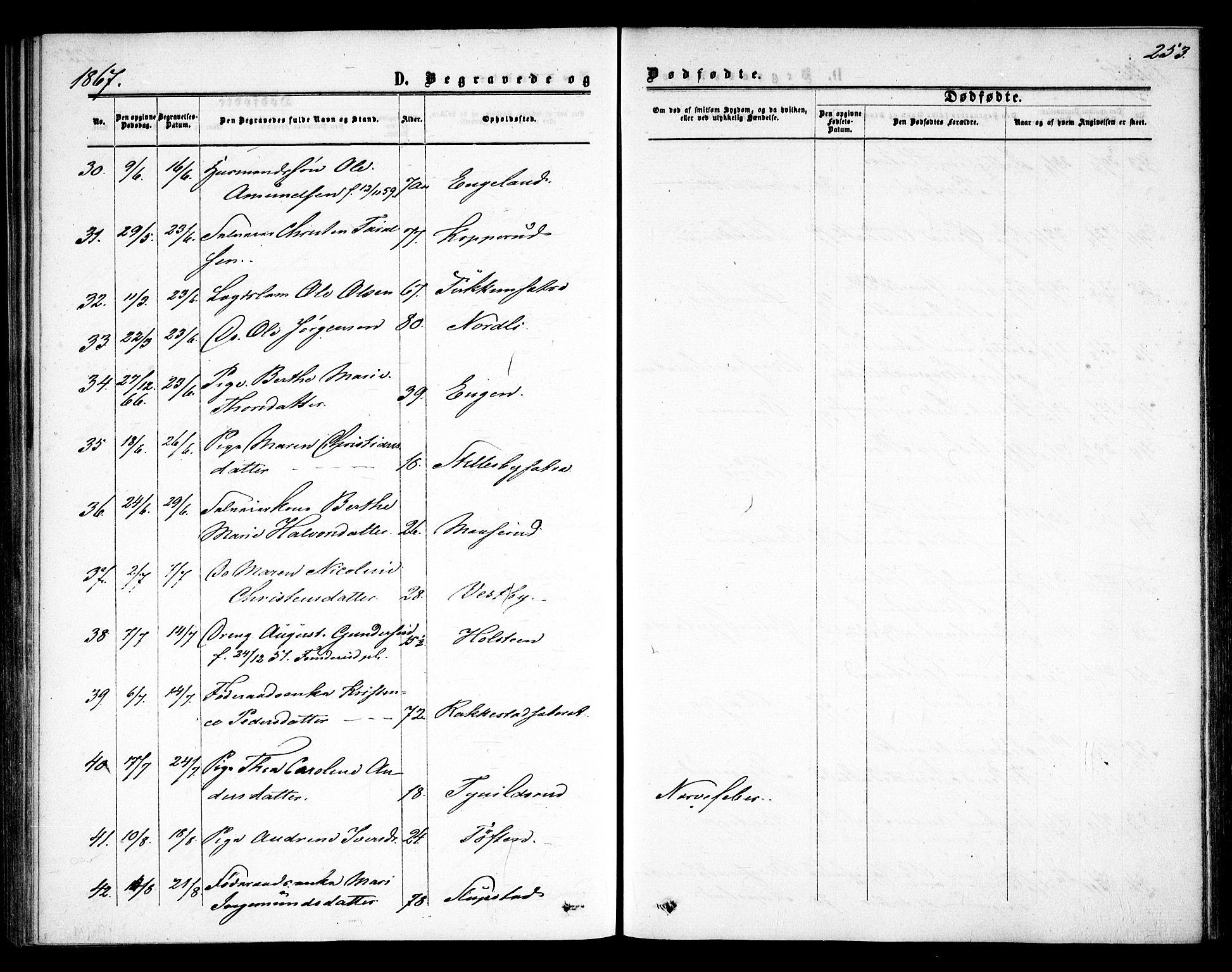 Rødenes prestekontor Kirkebøker, AV/SAO-A-2005/F/Fa/L0007: Parish register (official) no. I 7, 1860-1869, p. 253