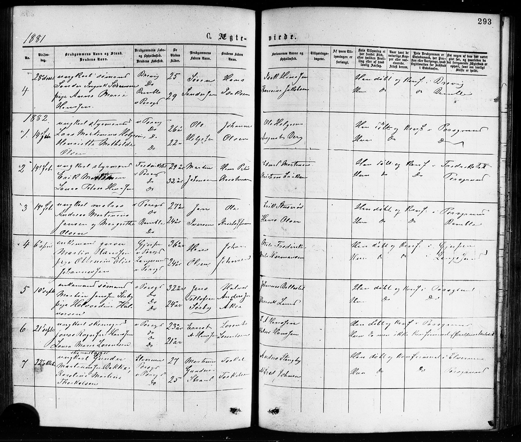 Porsgrunn kirkebøker , SAKO/A-104/G/Ga/L0003: Parish register (copy) no. I 3, 1877-1915, p. 293