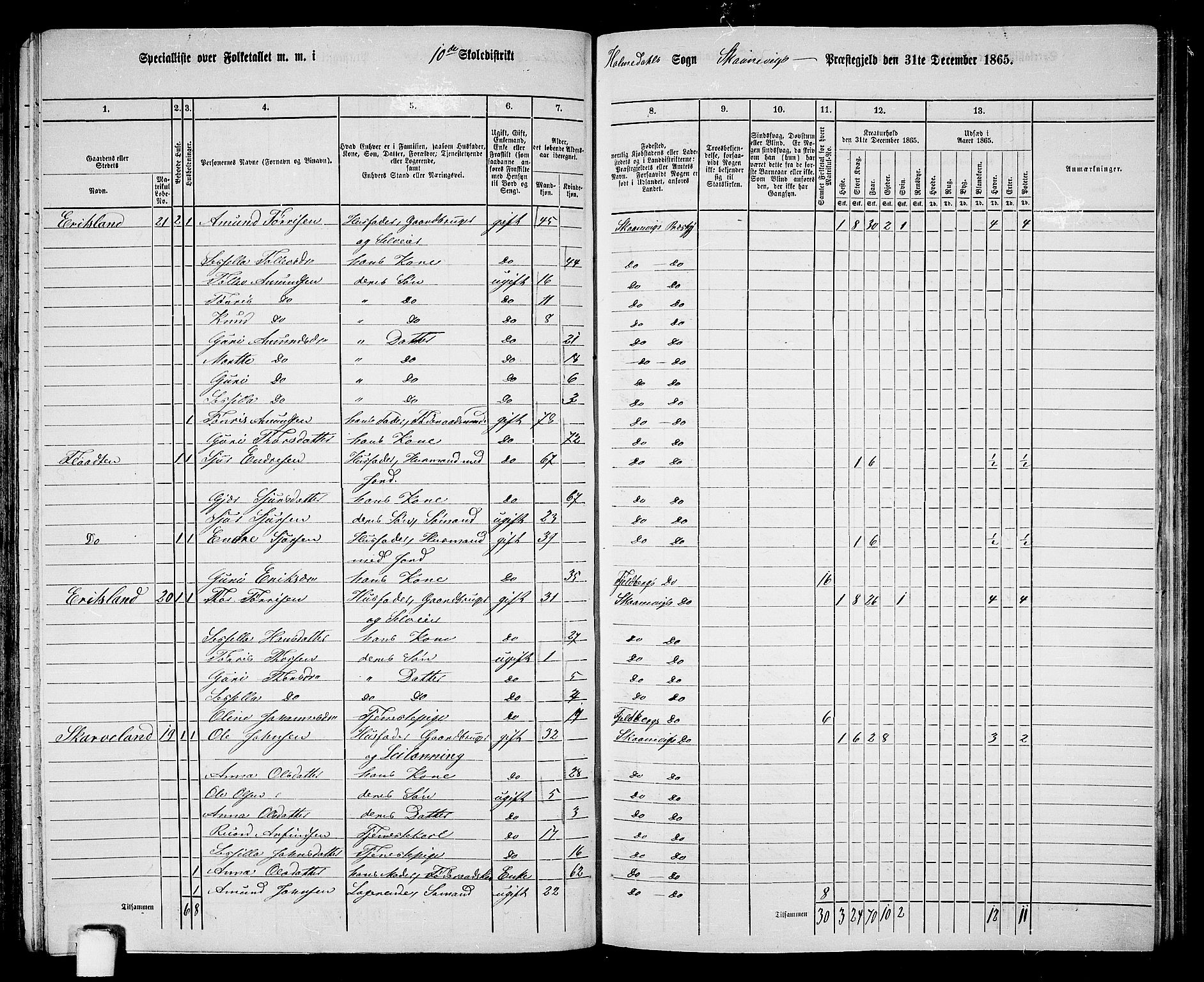 RA, 1865 census for Skånevik, 1865, p. 145