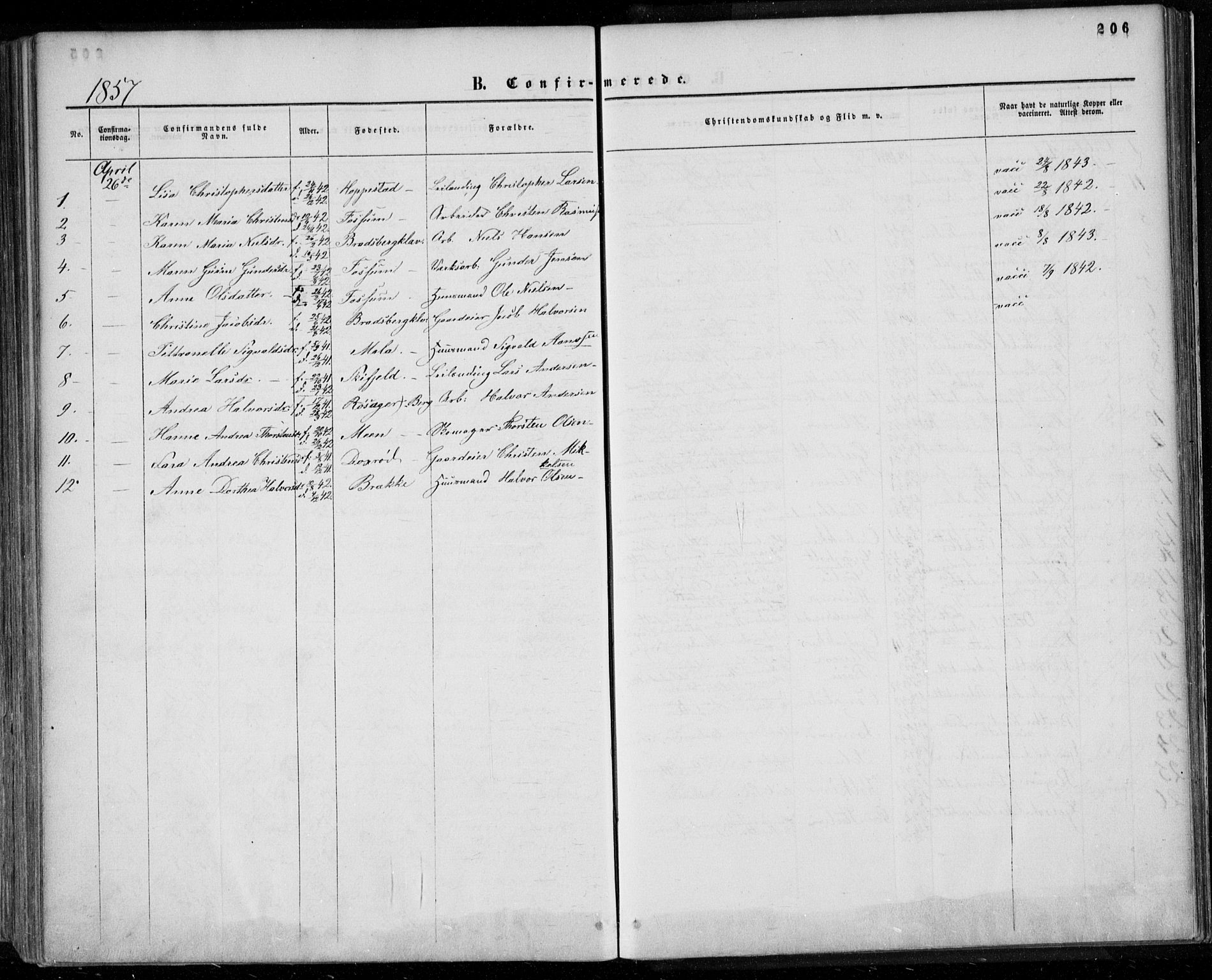 Gjerpen kirkebøker, SAKO/A-265/F/Fa/L0008a: Parish register (official) no. I 8A, 1857-1871, p. 206