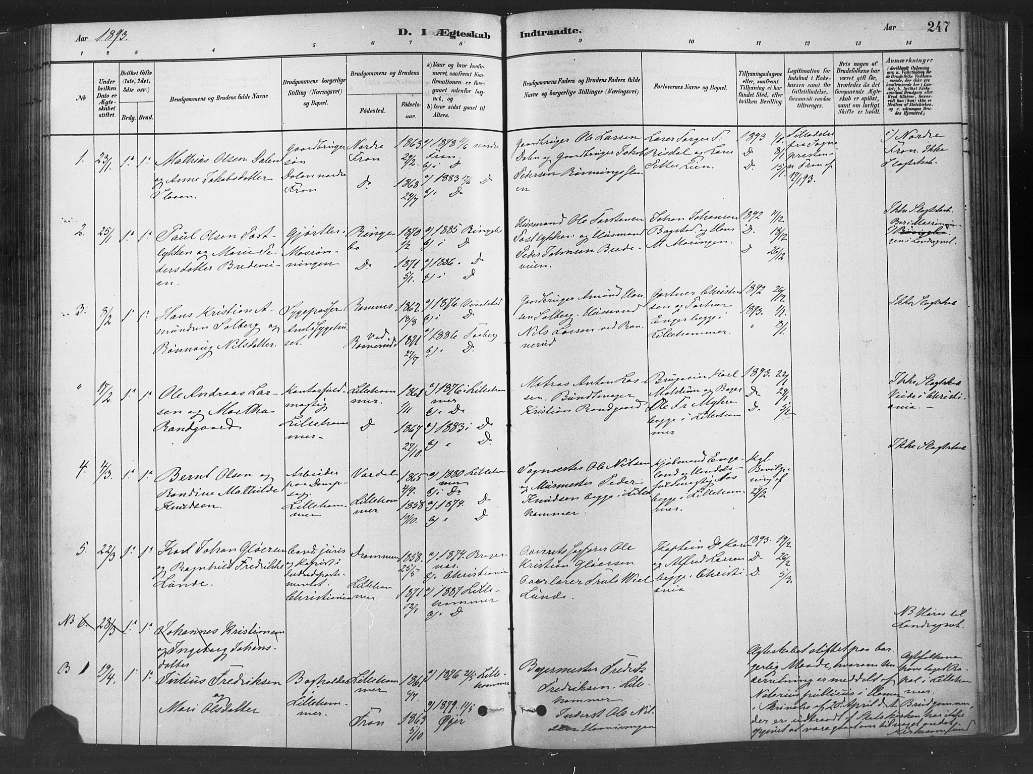 Fåberg prestekontor, AV/SAH-PREST-086/H/Ha/Haa/L0010: Parish register (official) no. 10, 1879-1900, p. 247