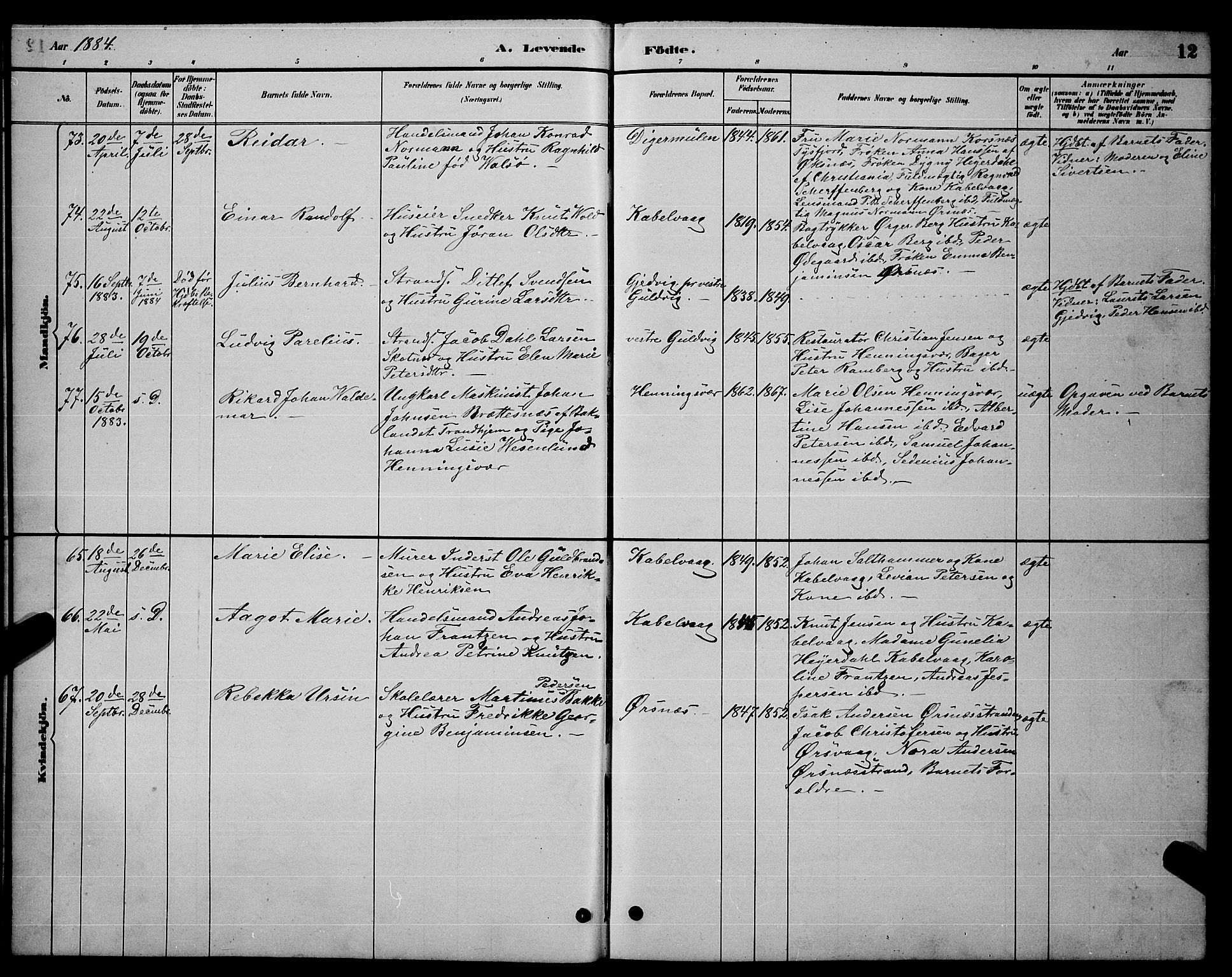 Ministerialprotokoller, klokkerbøker og fødselsregistre - Nordland, AV/SAT-A-1459/874/L1076: Parish register (copy) no. 874C05, 1884-1890, p. 12