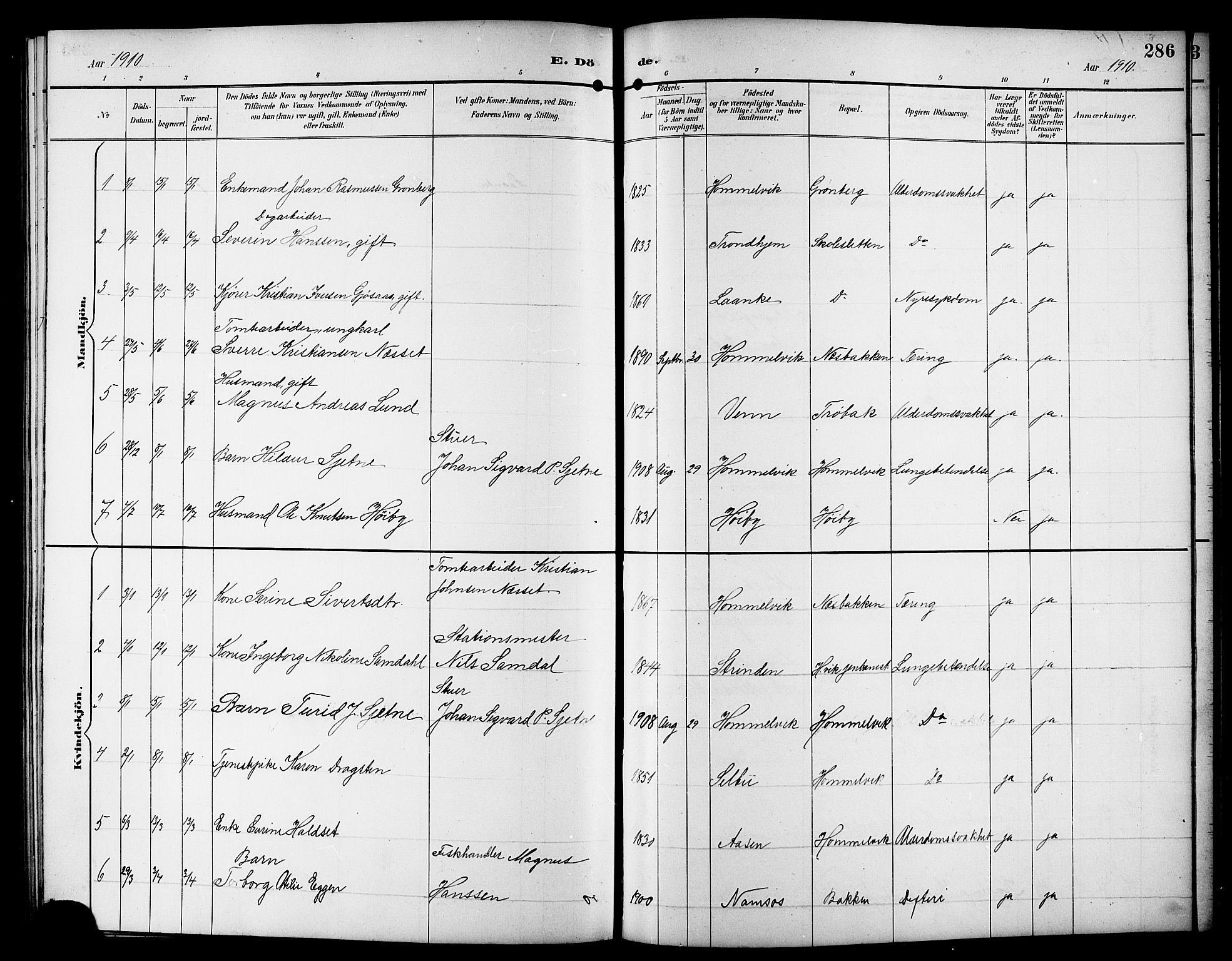 Ministerialprotokoller, klokkerbøker og fødselsregistre - Sør-Trøndelag, SAT/A-1456/617/L0431: Parish register (copy) no. 617C01, 1889-1910, p. 286