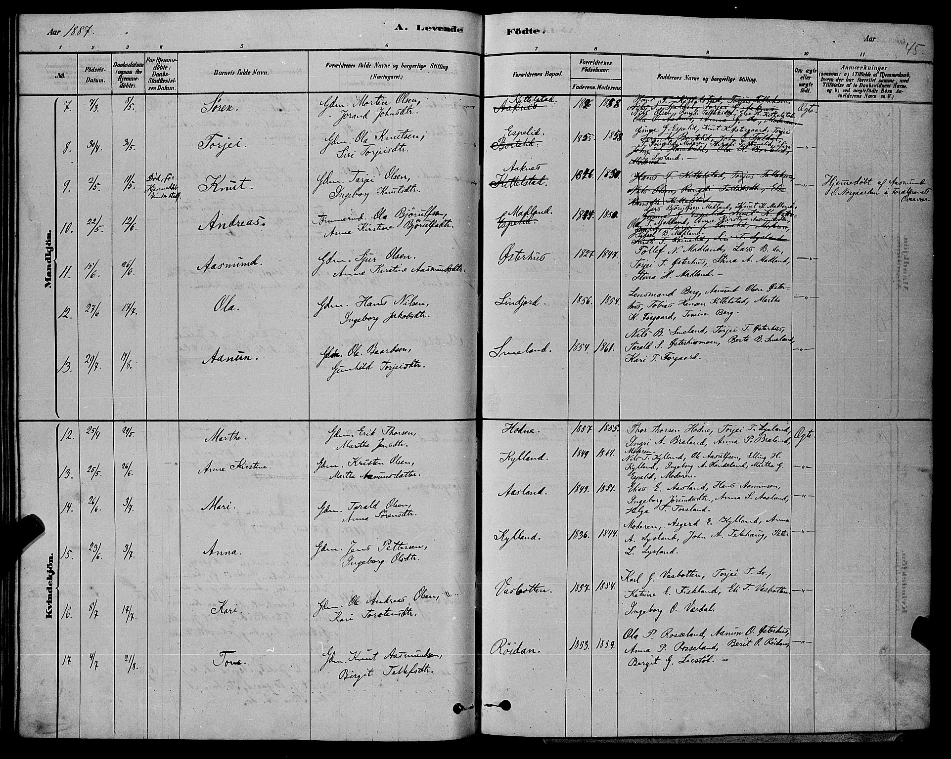 Åseral sokneprestkontor, AV/SAK-1111-0051/F/Fb/L0002: Parish register (copy) no. B 2, 1878-1899, p. 45