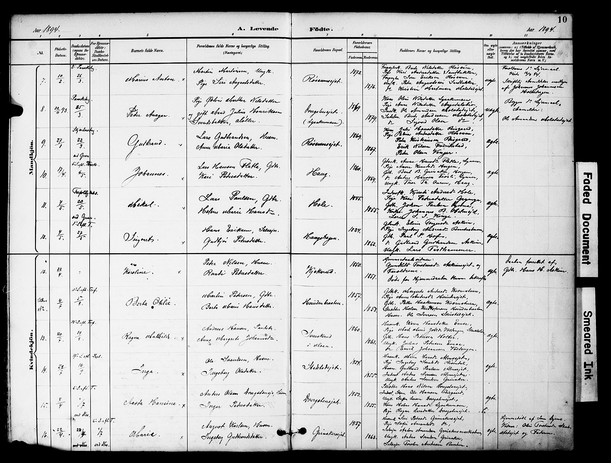 Brandbu prestekontor, AV/SAH-PREST-114/H/Ha/Hab/L0006: Parish register (copy) no. 6, 1893-1902, p. 10